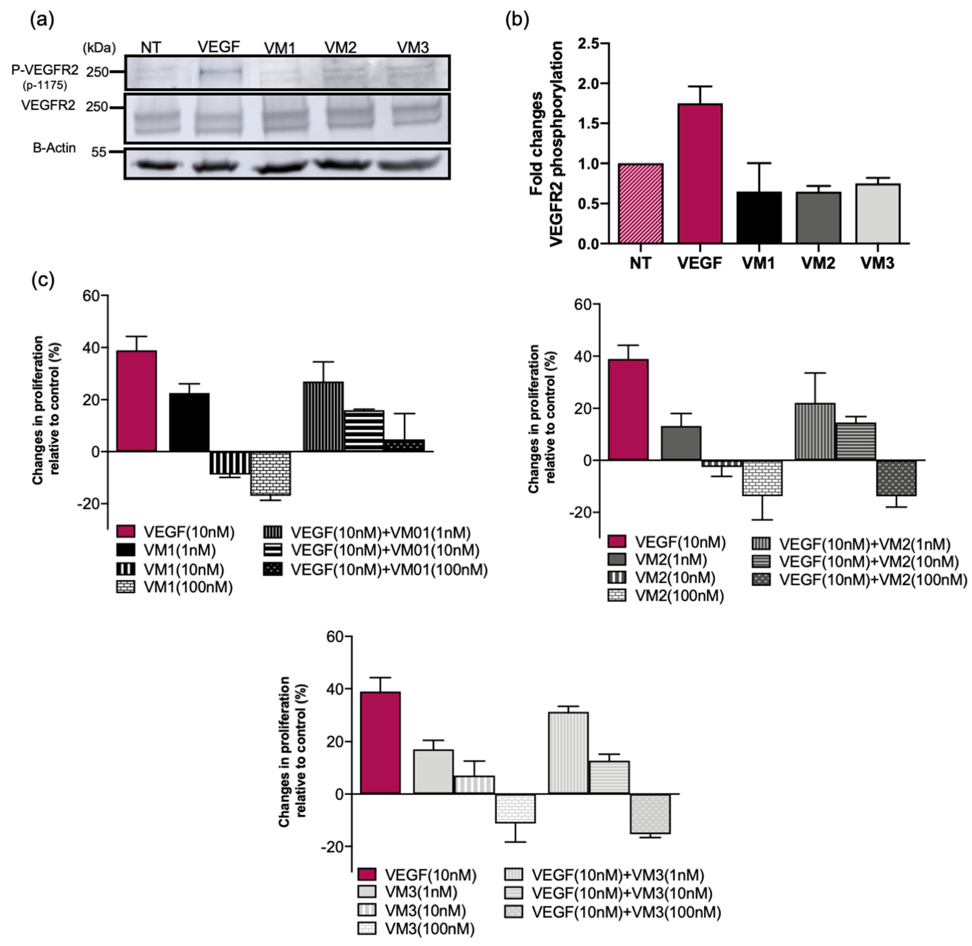 Cancers 12 02732 g003