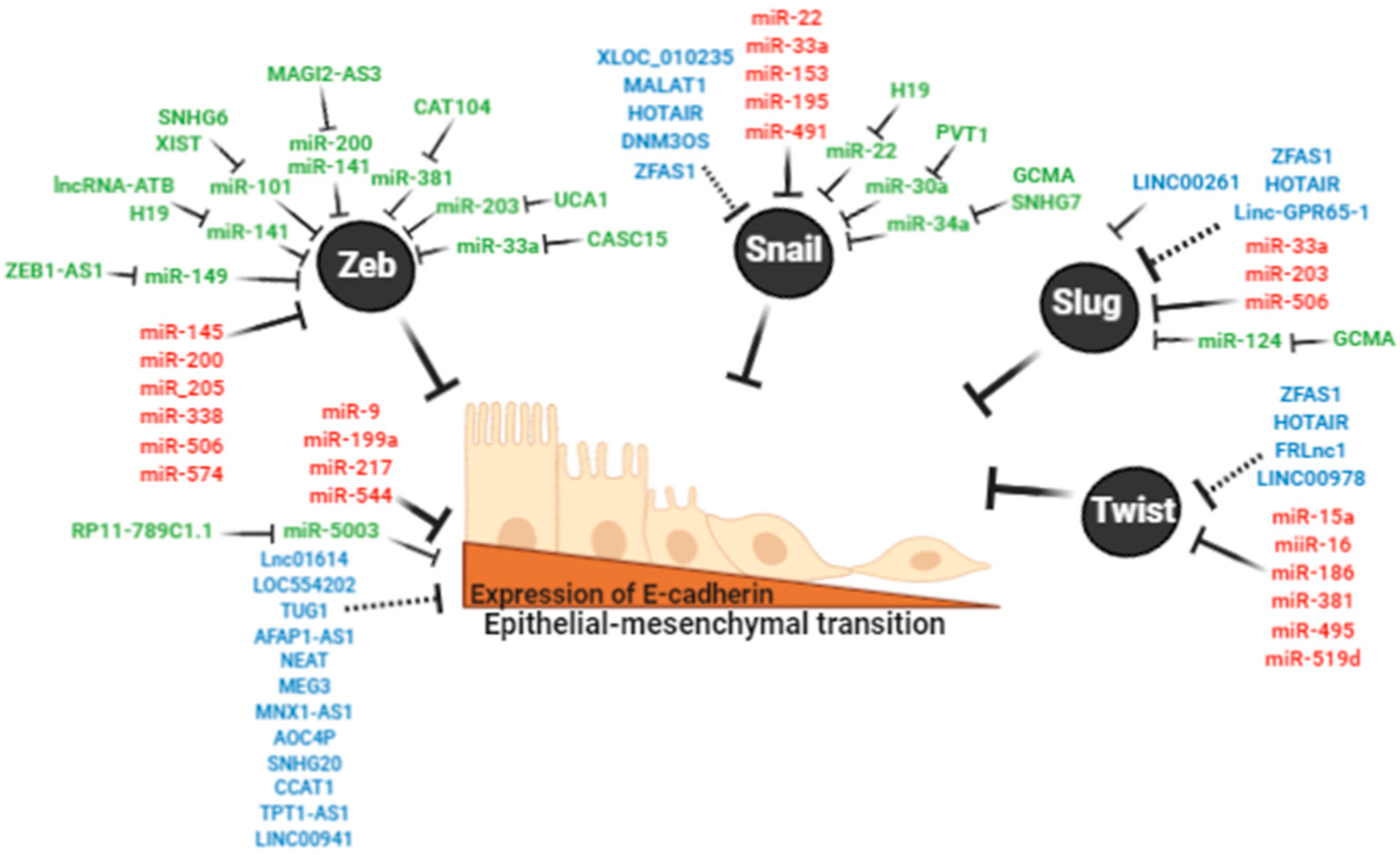 Cancers 12 02741 g003 Cancers 12 02741 g003