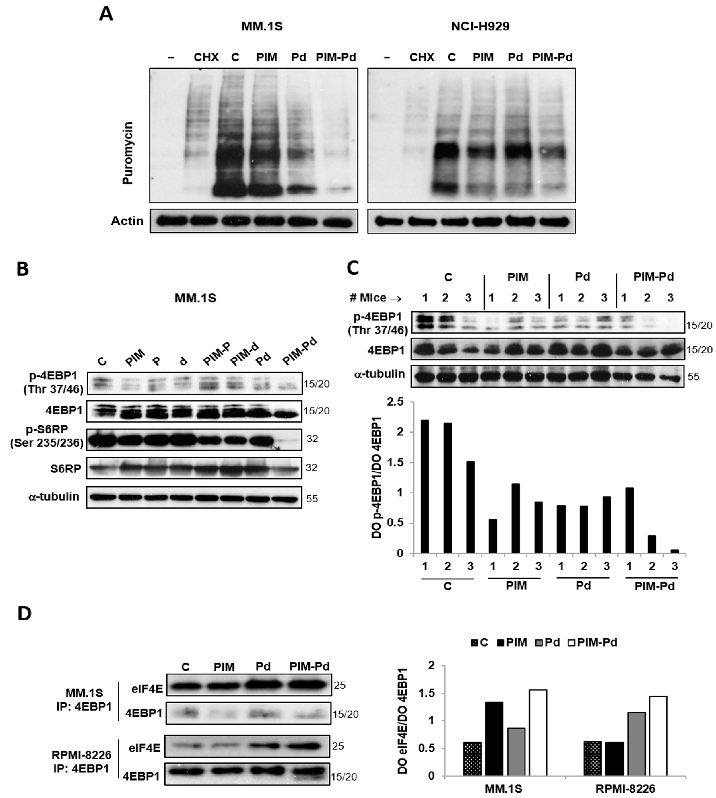 Cancers 12 02743 g003 Cancers 12 02743 g003