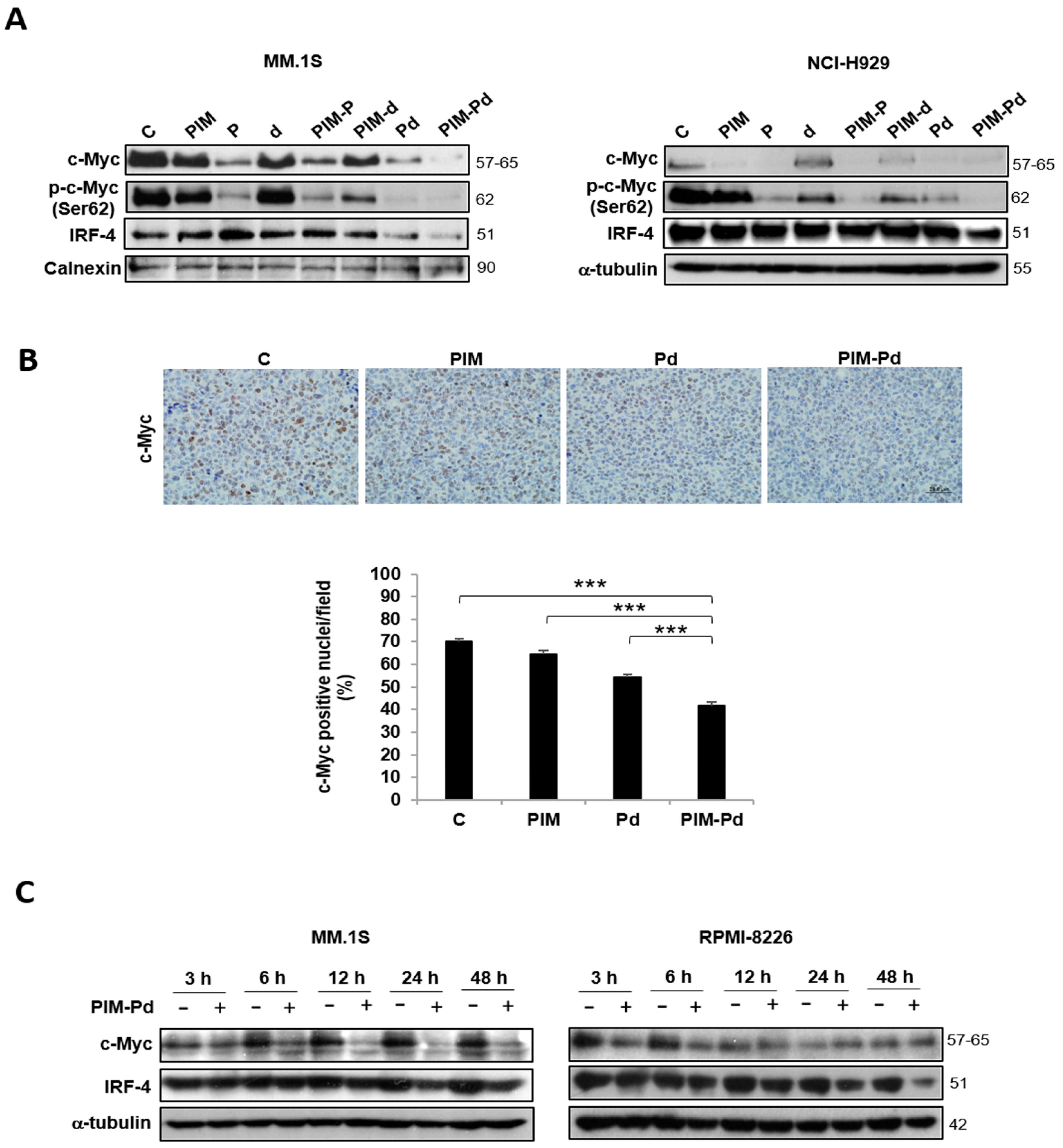 Cancers 12 02743 g004 Cancers 12 02743 g004