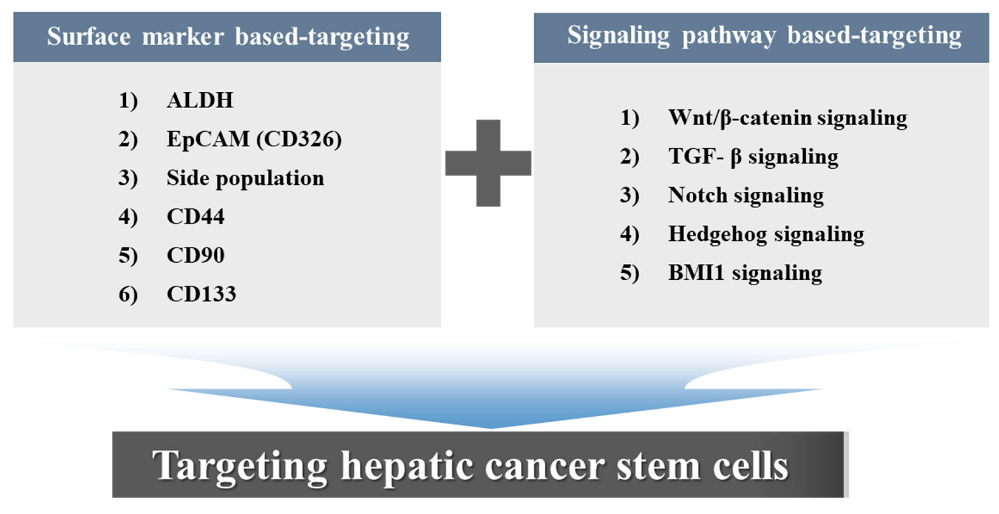 Cancers 12 02746 g003 Cancers 12 02746 g003