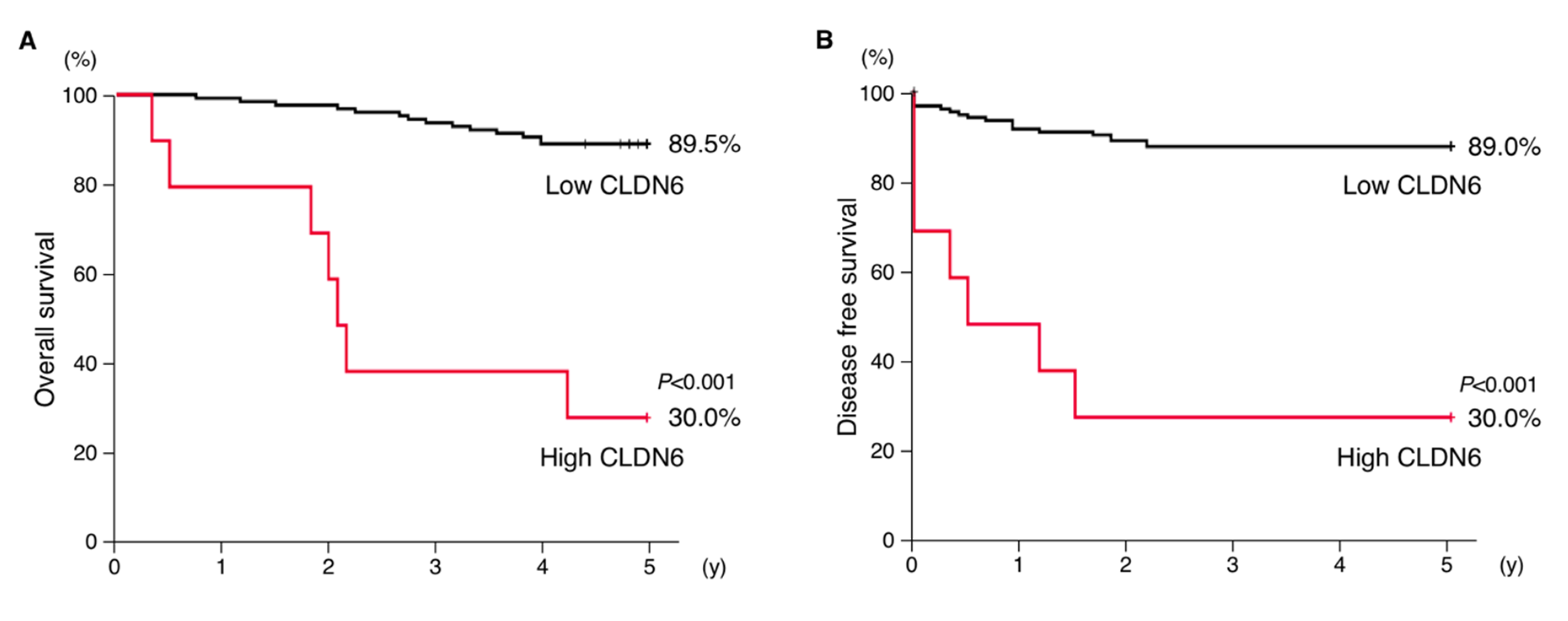 Cancers Free Full Text Prognostic Significance Of Aberrant Claudin 6 Expression In Endometrial Cancer Html