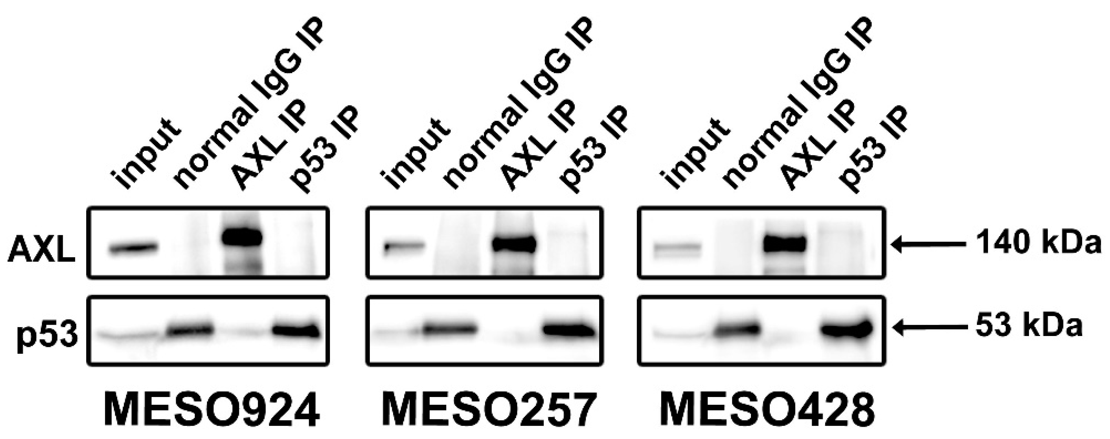 Cancers 12 02757 g003 Cancers 12 02757 g003