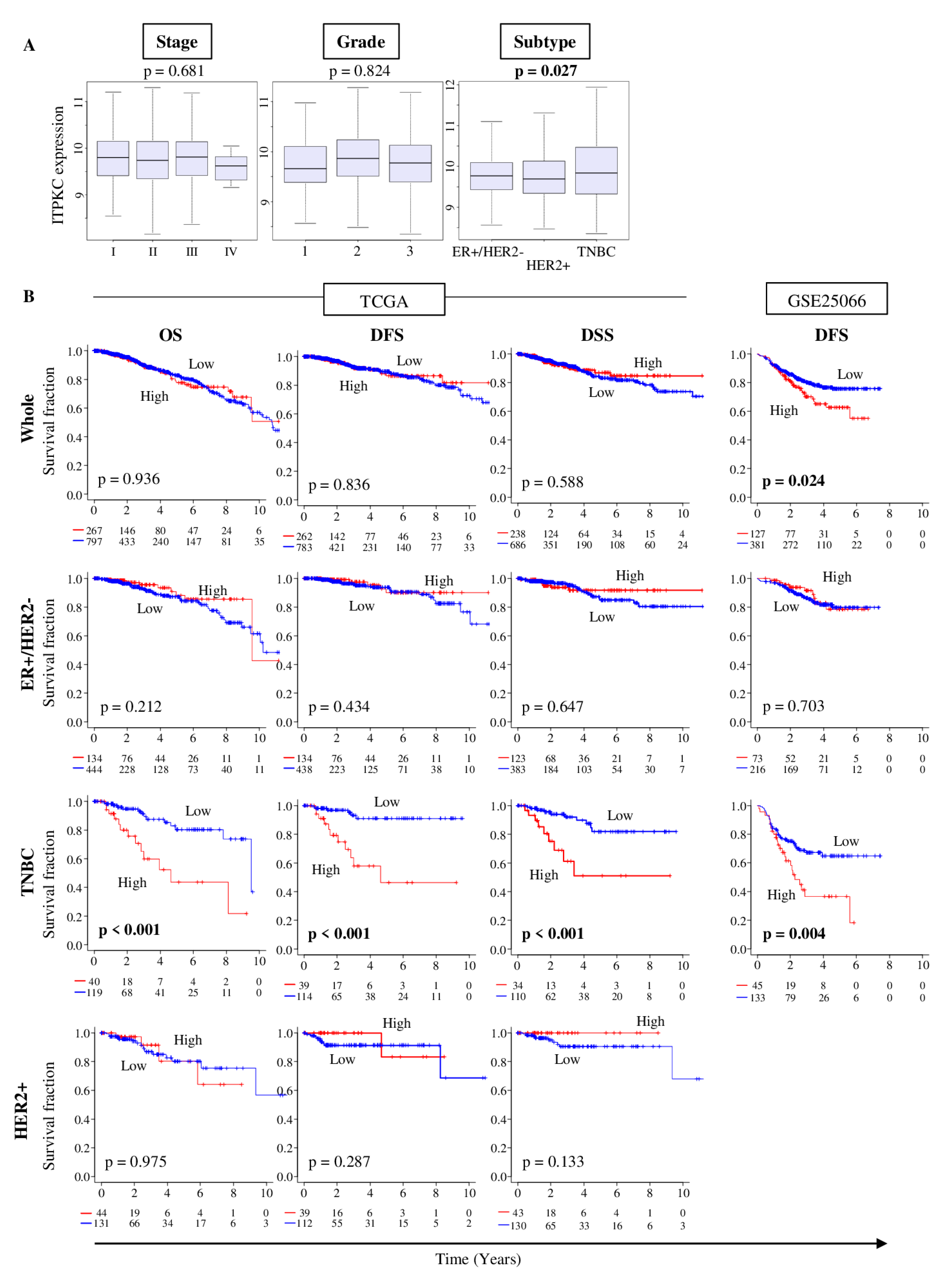 Cancers 12 02758 g002