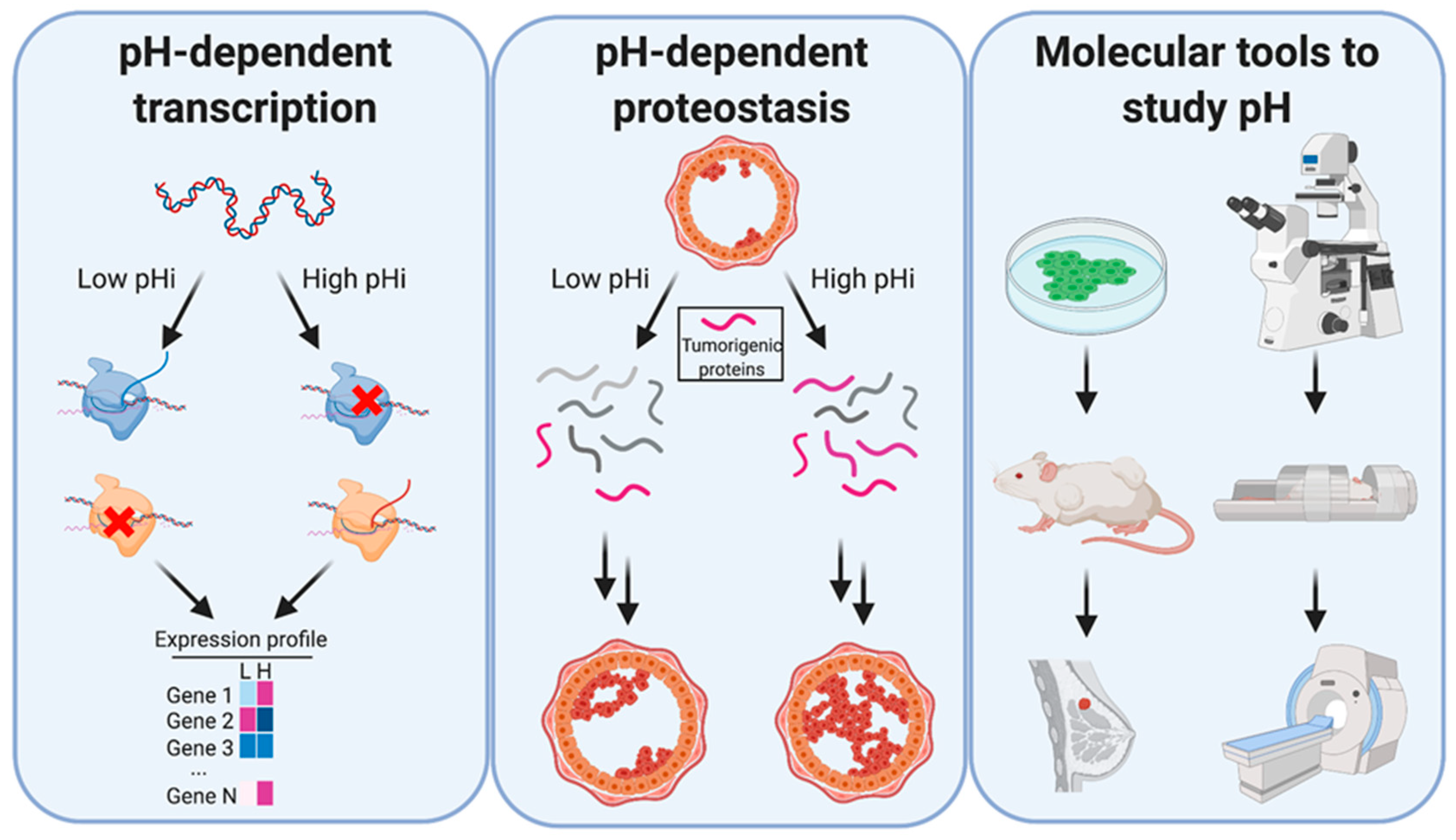 Cancers 12 02760 g002 Cancers 12 02760 g002