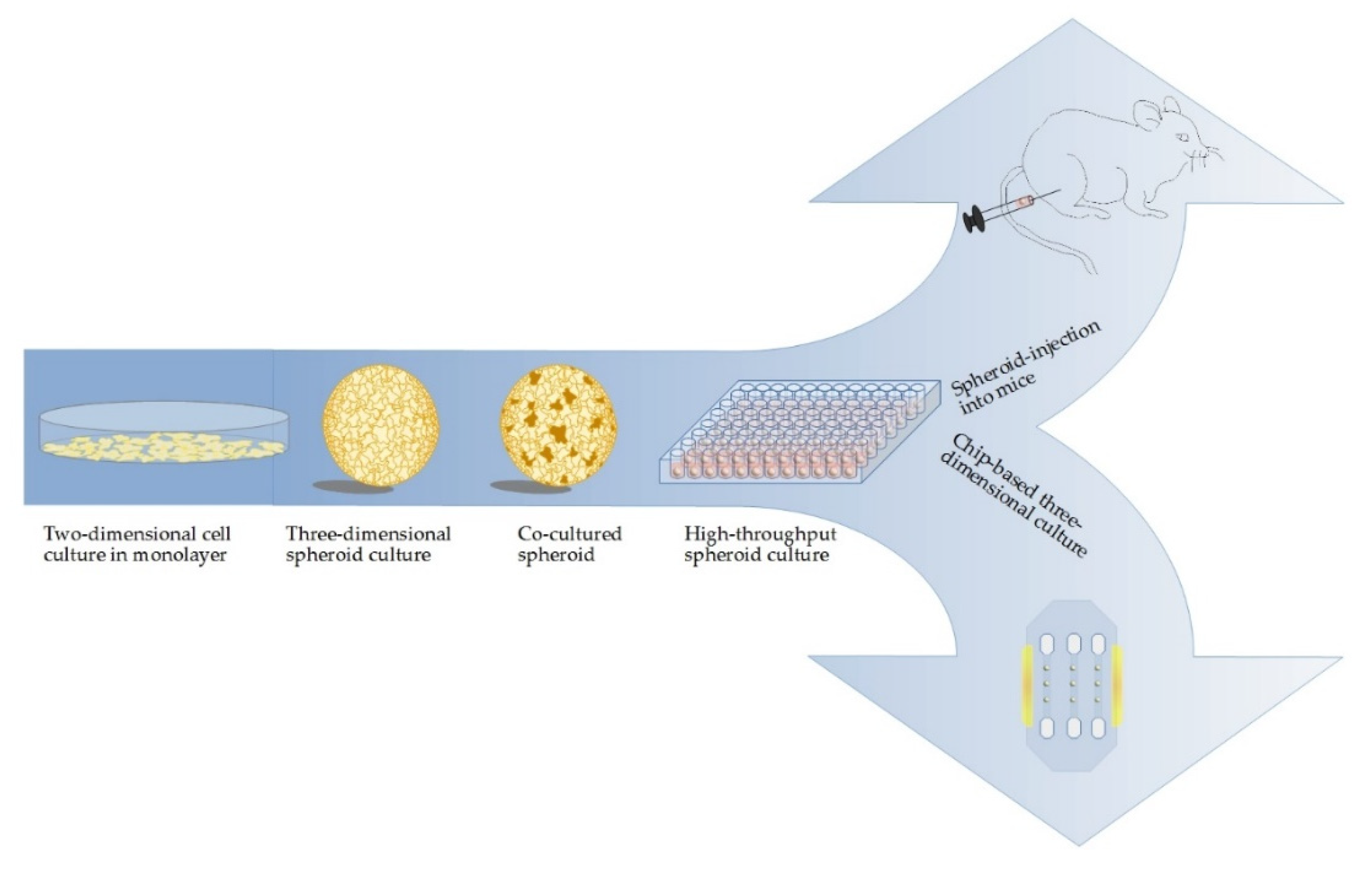 Cancers 12 02765 g002 Cancers 12 02765 g002