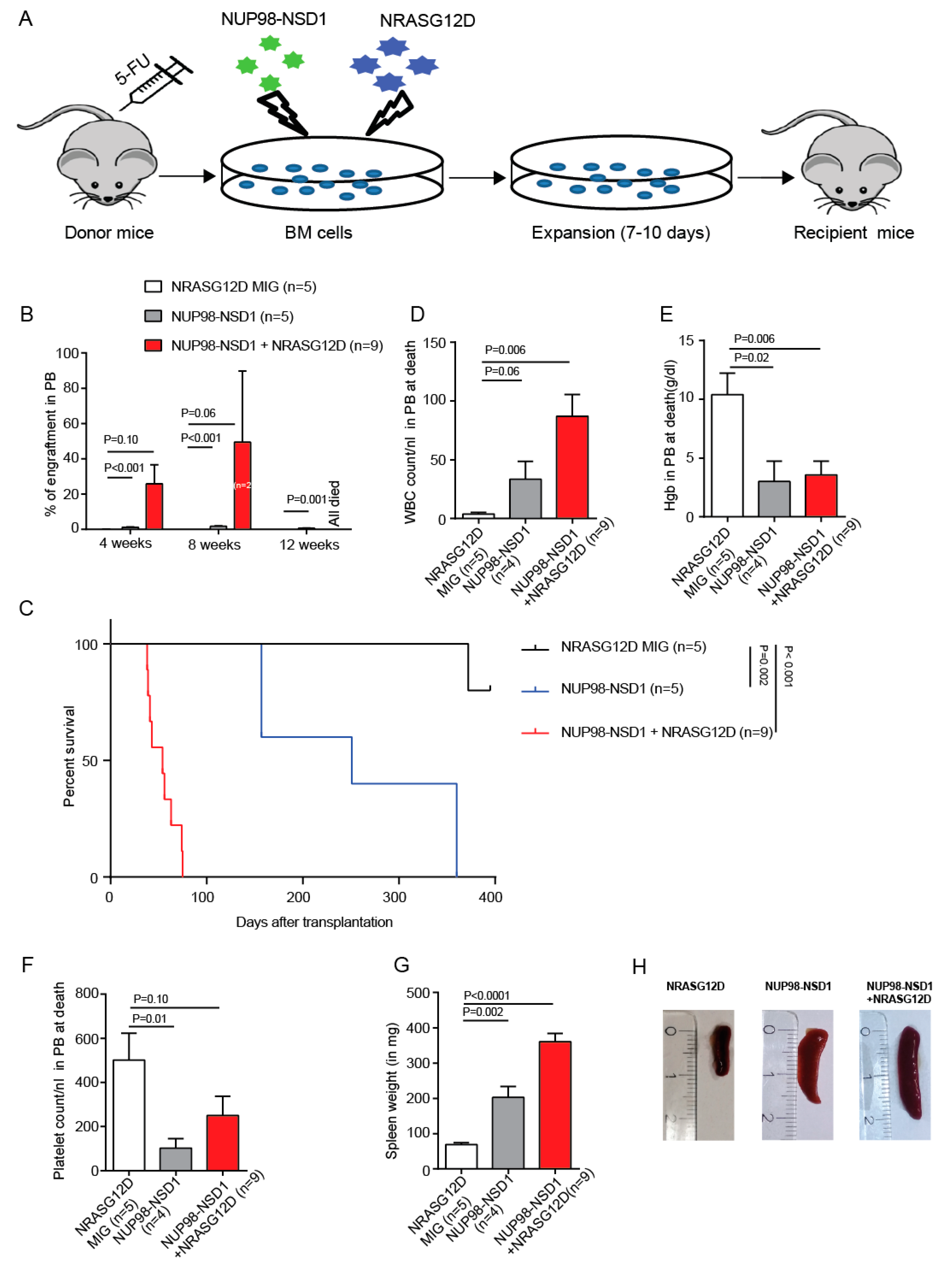 Cancers 12 02766 g002 Cancers 12 02766 g002