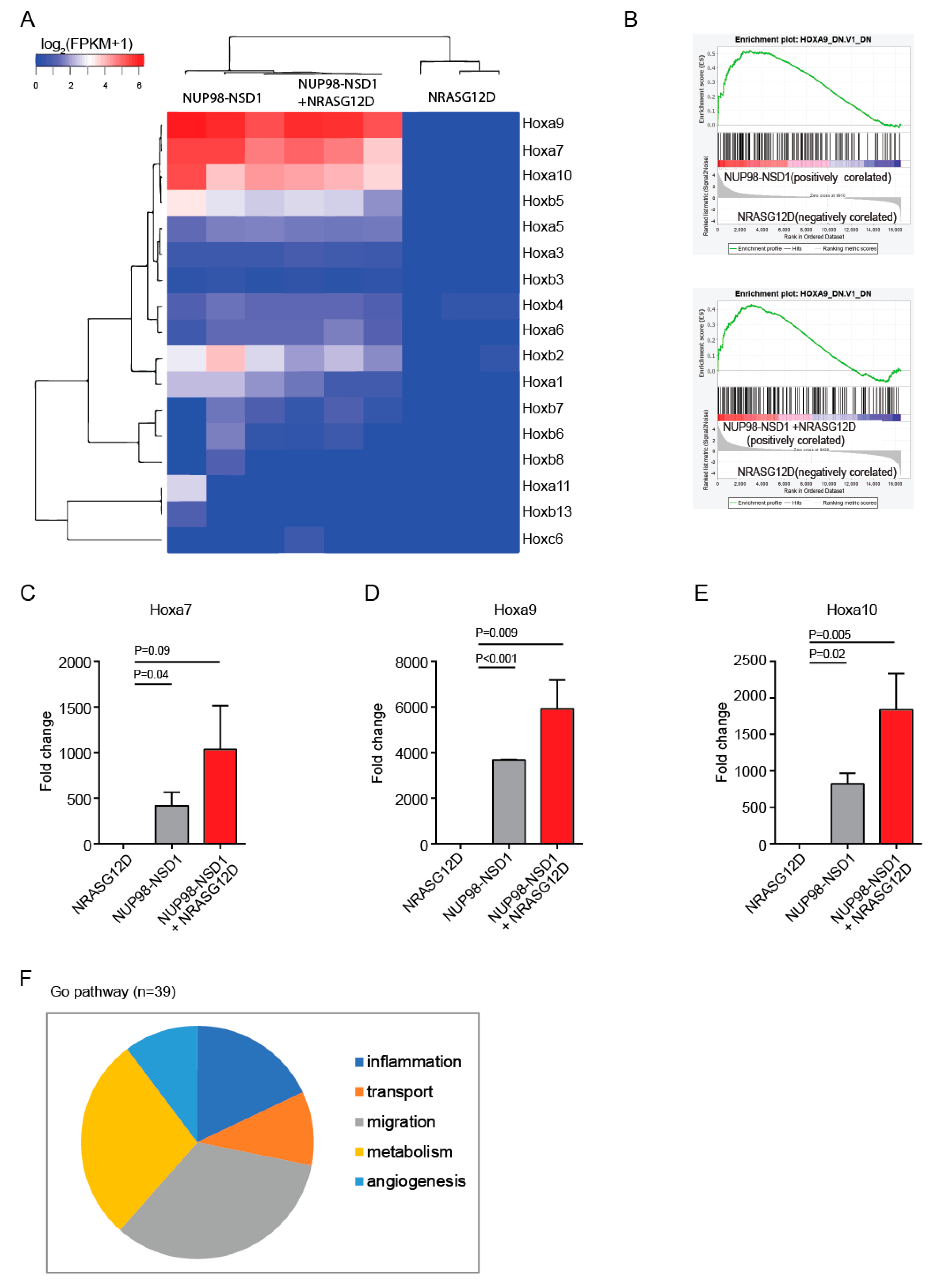 Cancers 12 02766 g003 Cancers 12 02766 g003
