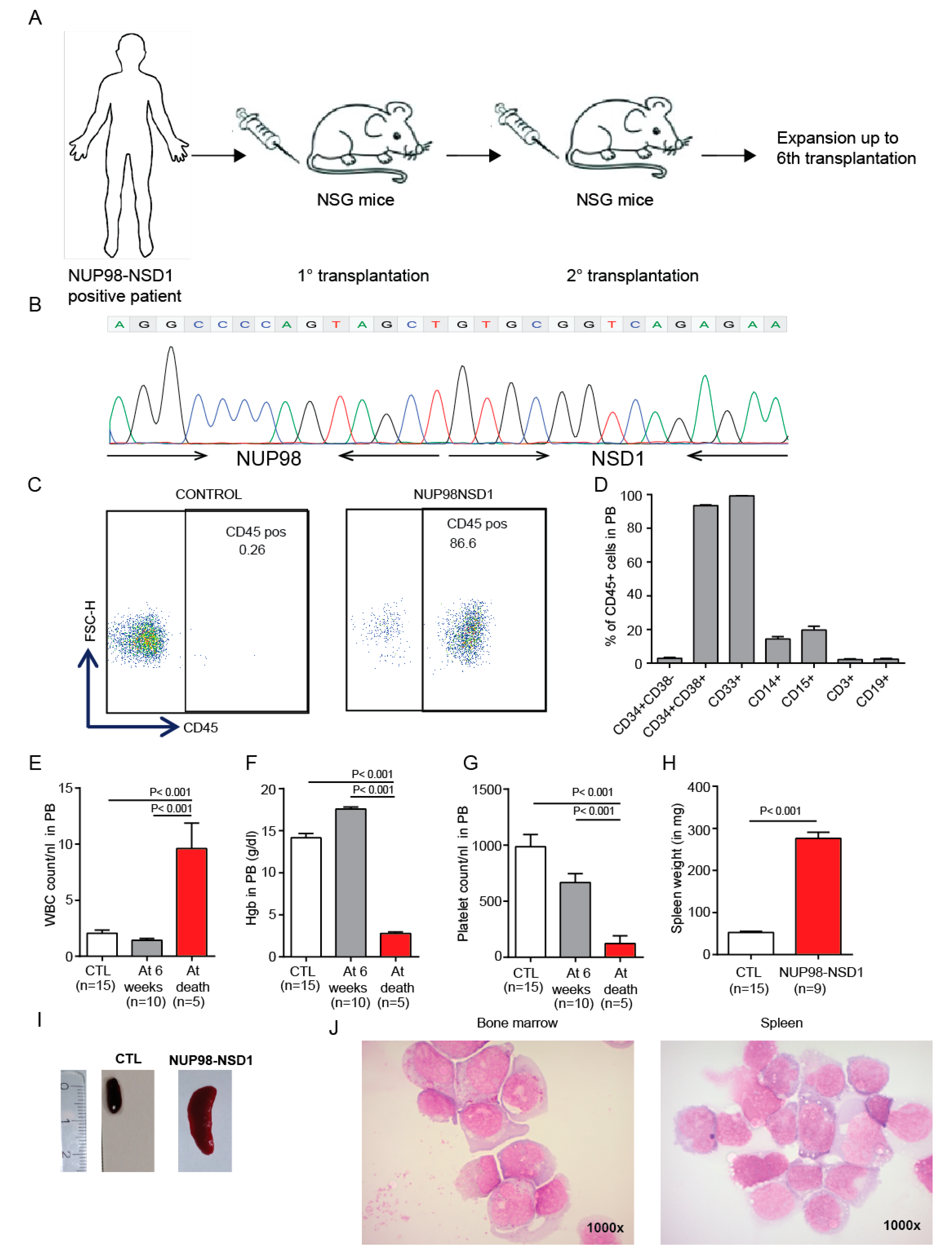 Cancers 12 02766 g004 Cancers 12 02766 g004