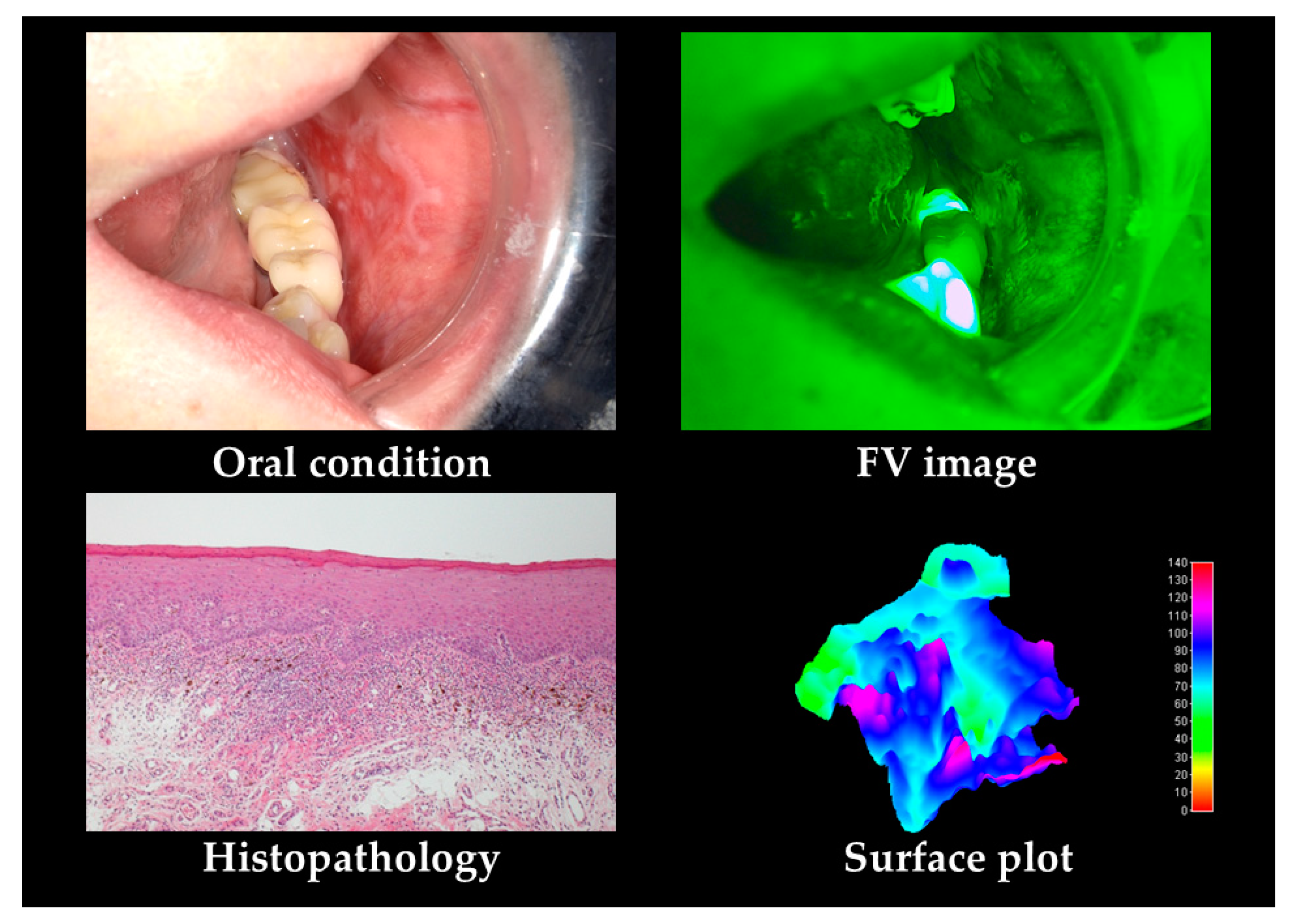 Cancers 12 02771 g002