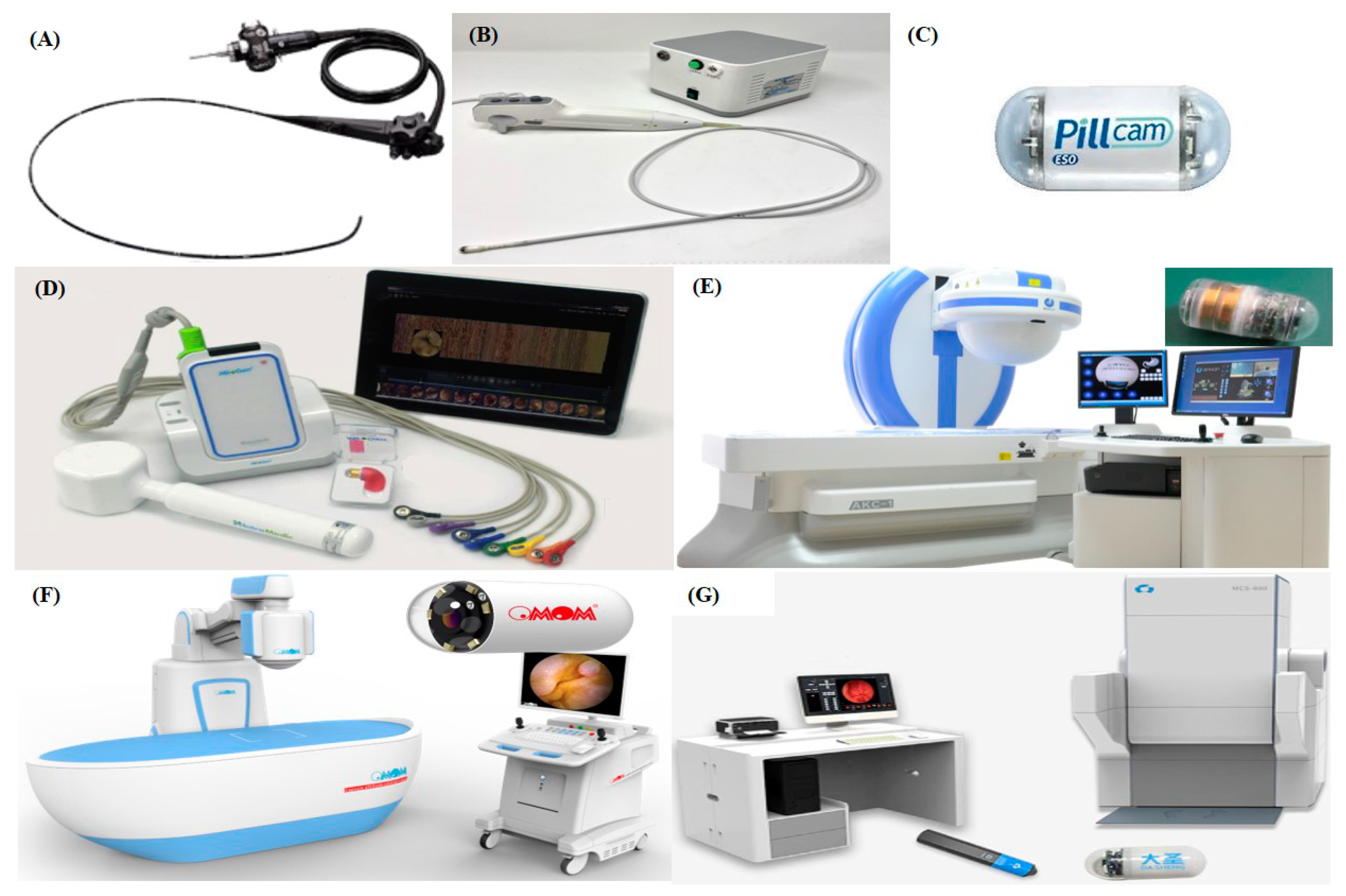 Cancers 12 02775 g001 Cancers 12 02775 g001