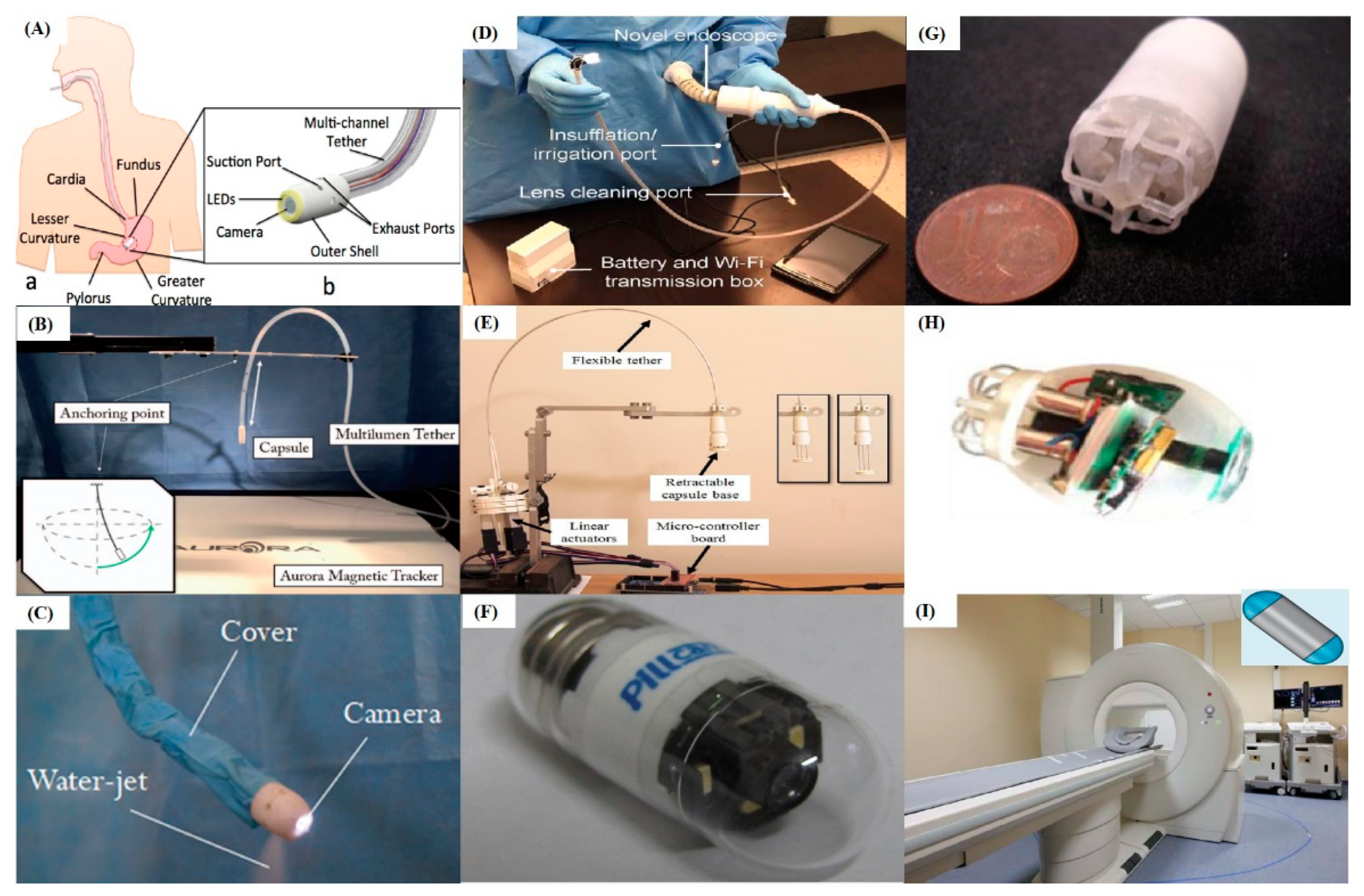 Cancers 12 02775 g002 Cancers 12 02775 g002