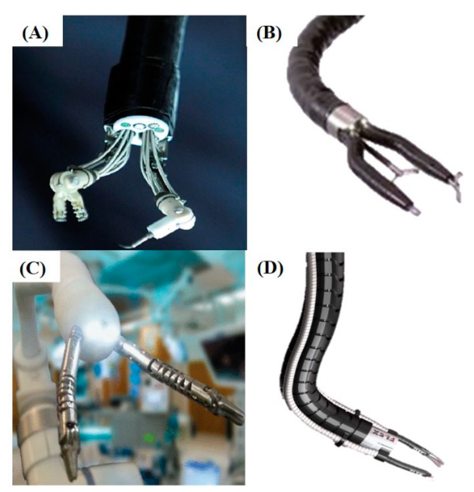 Cancers 12 02775 g003 Cancers 12 02775 g003