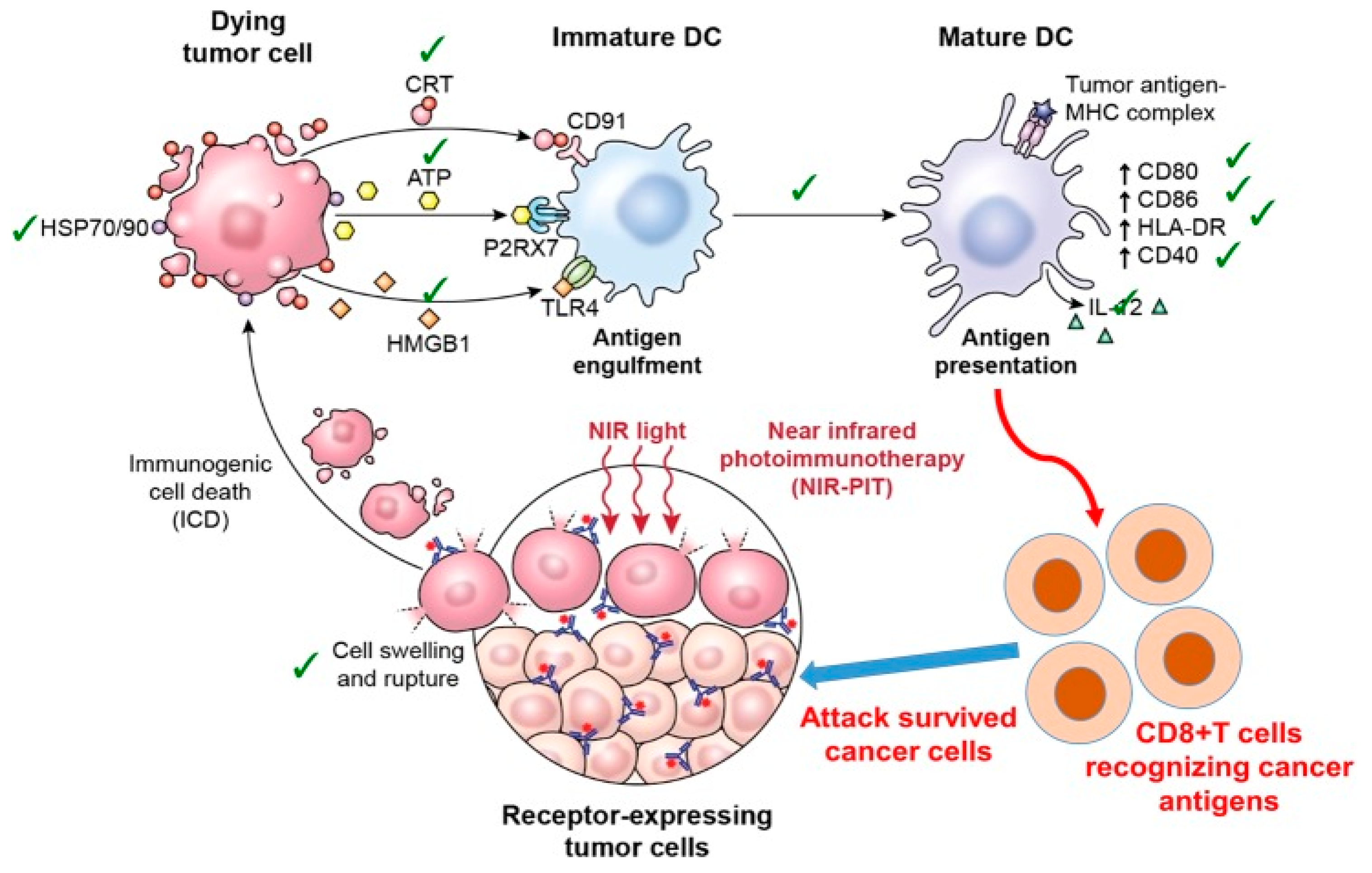 Cancers 12 02793 g002 Cancers 12 02793 g002