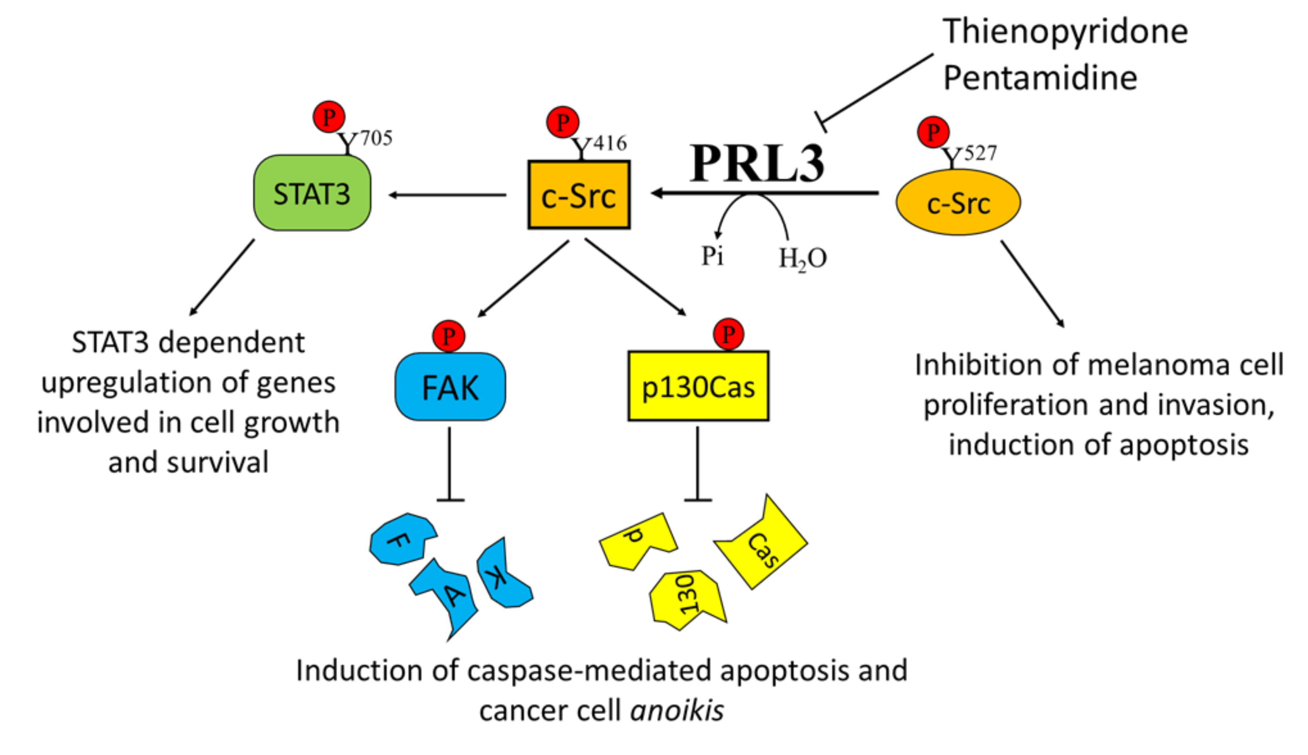 Cancers 12 02799 g003 Cancers 12 02799 g003