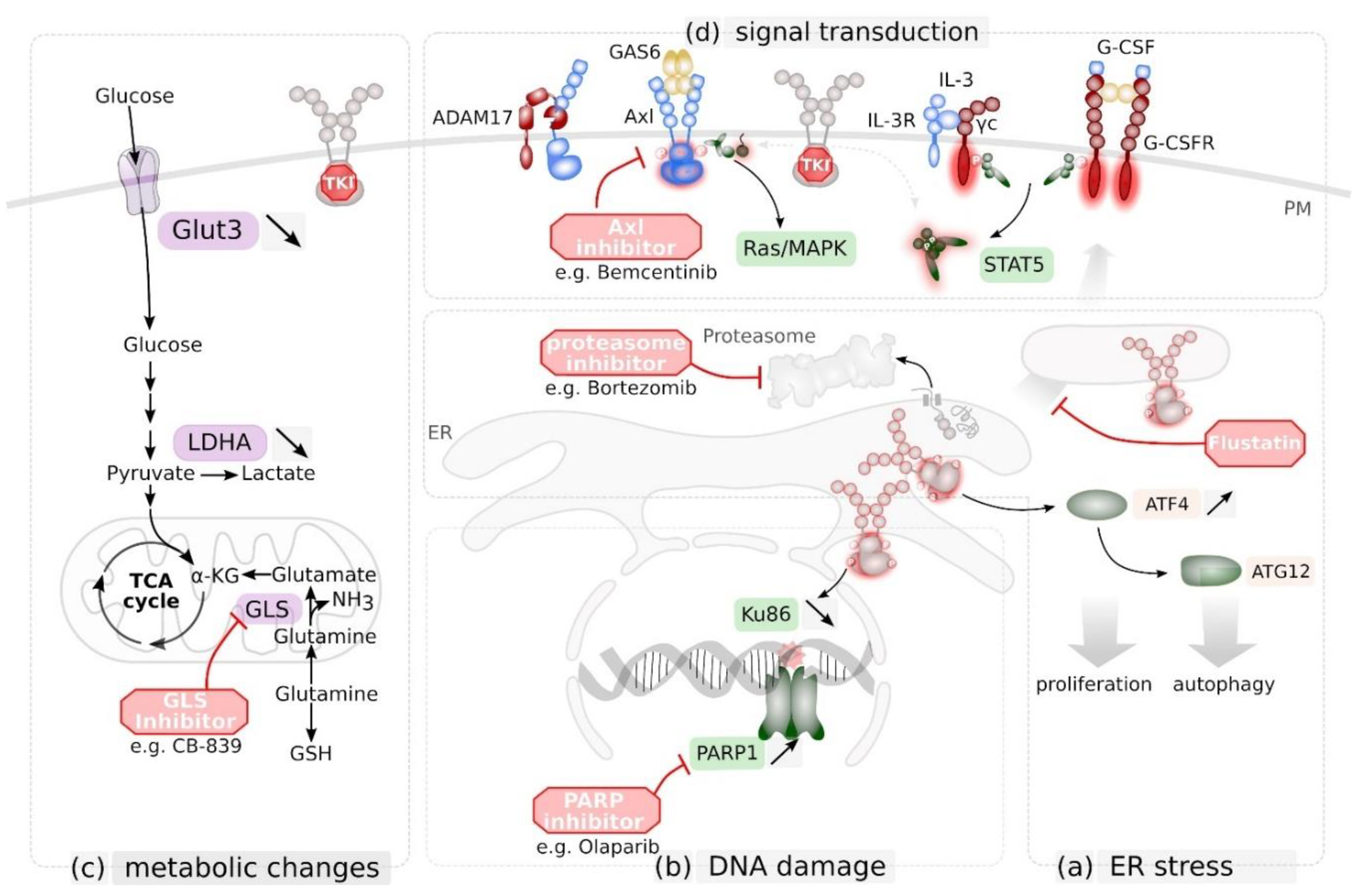 fh Novel Approaches to Target Mutant FLT3 Leukaemia