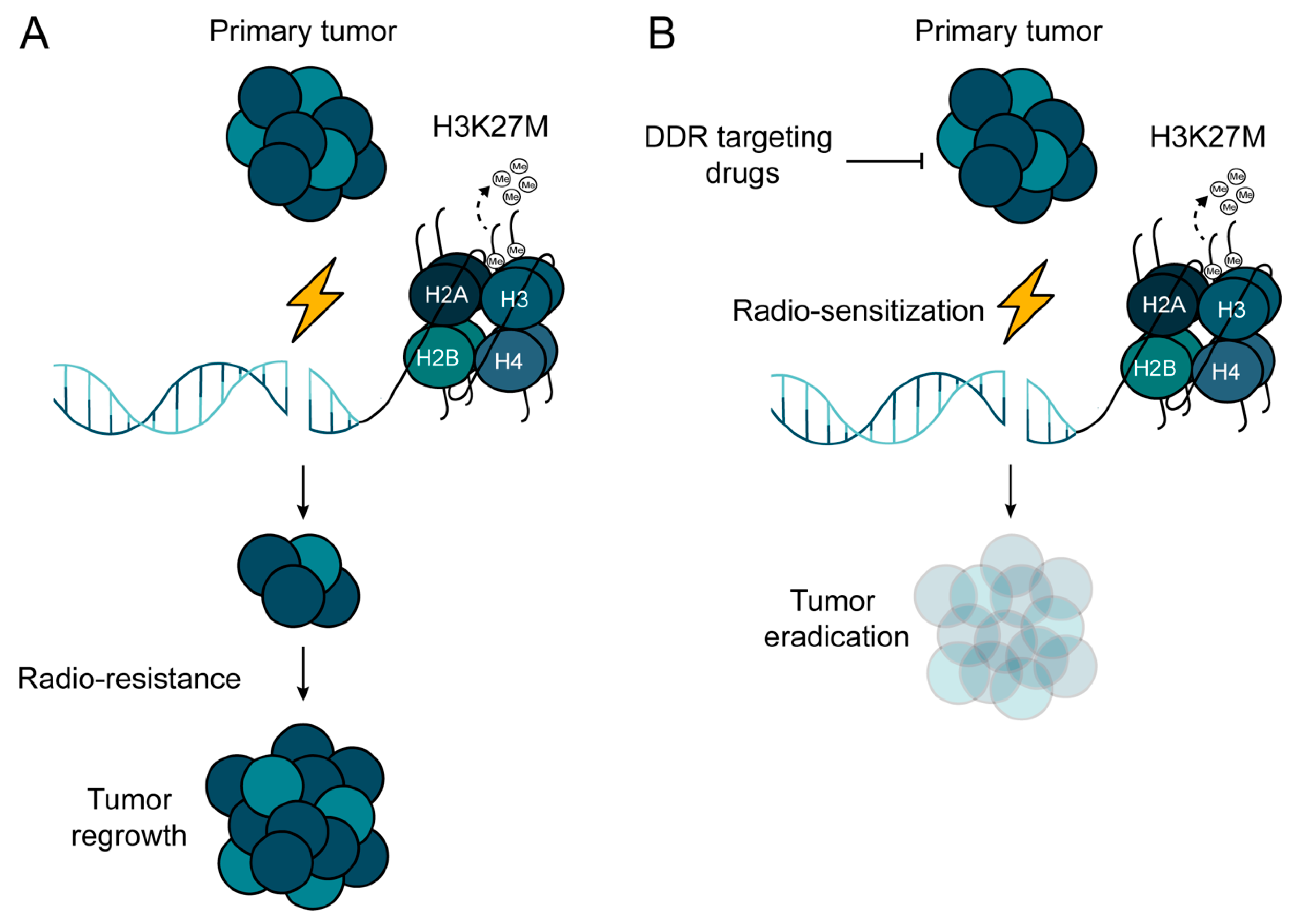 Cancers 12 02813 g005 Cancers 12 02813 g005