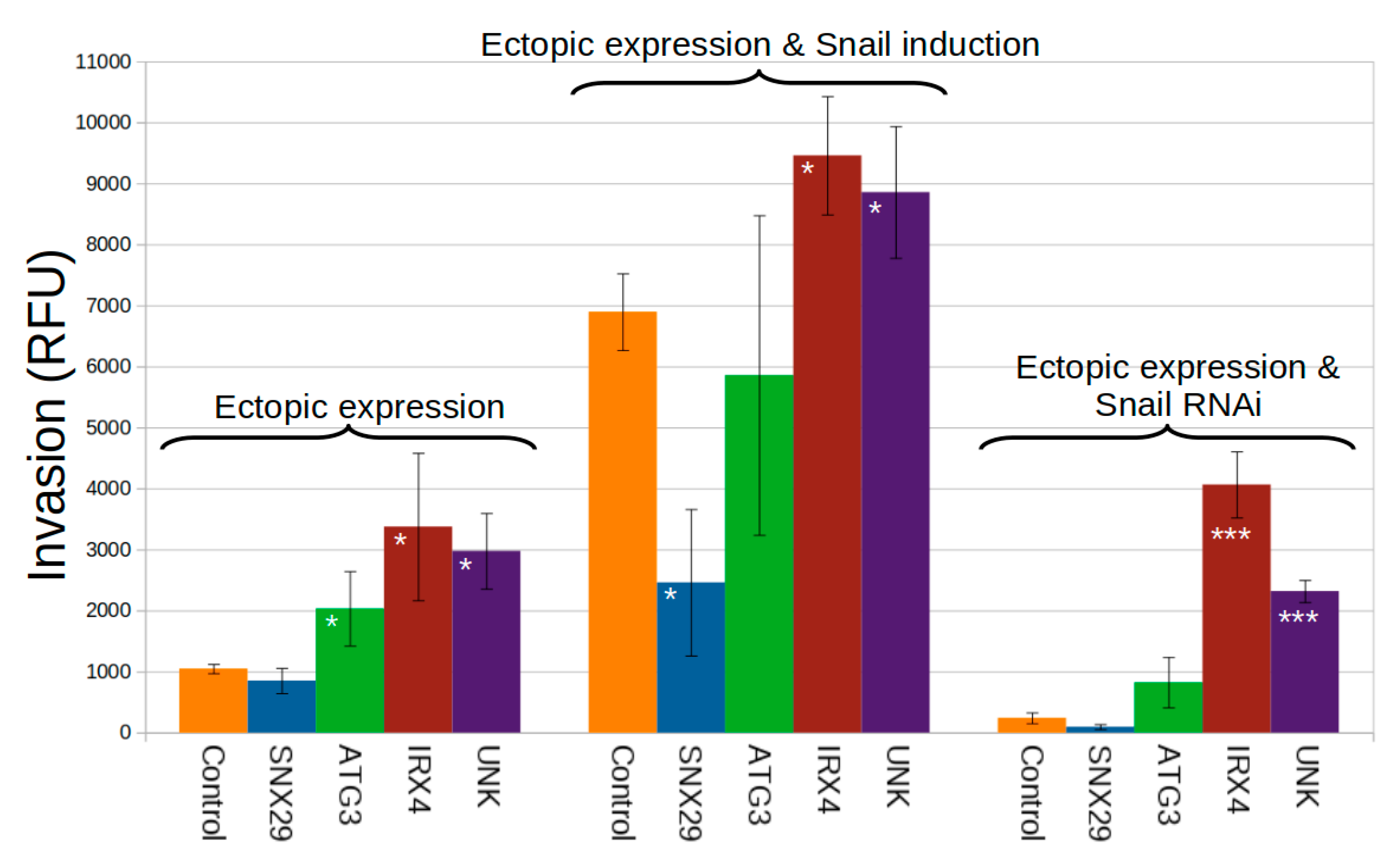 Cancers | Free Full-Text | Functional Transcription Factor Target Networks  Illuminate Control of Epithelial Remodelling