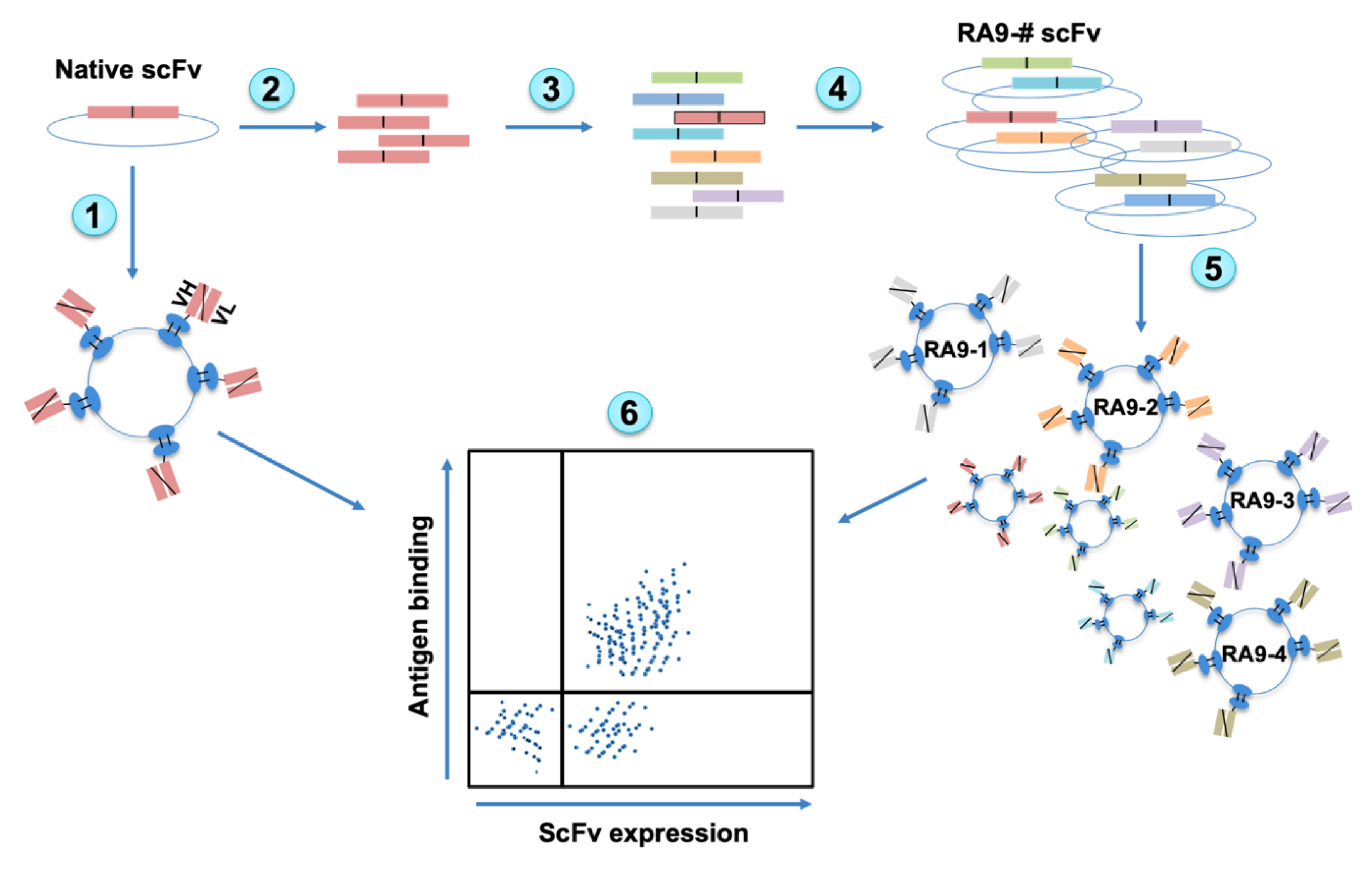 Cancers 12 02824 g001