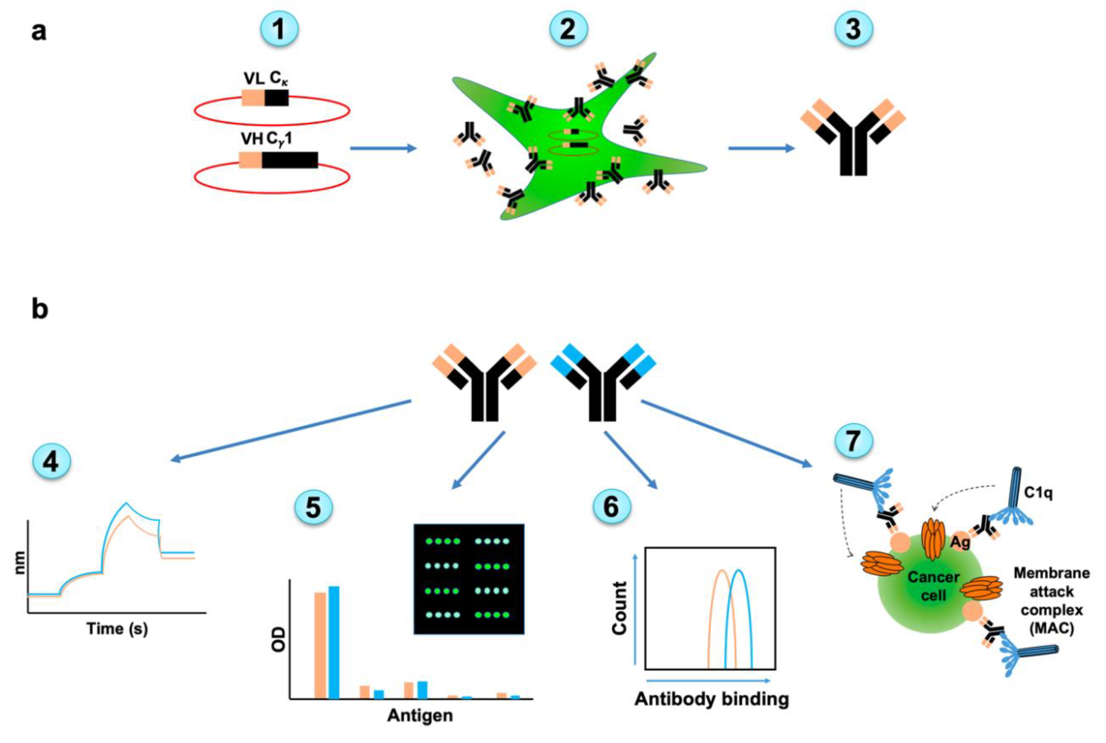 Cancers 12 02824 g003