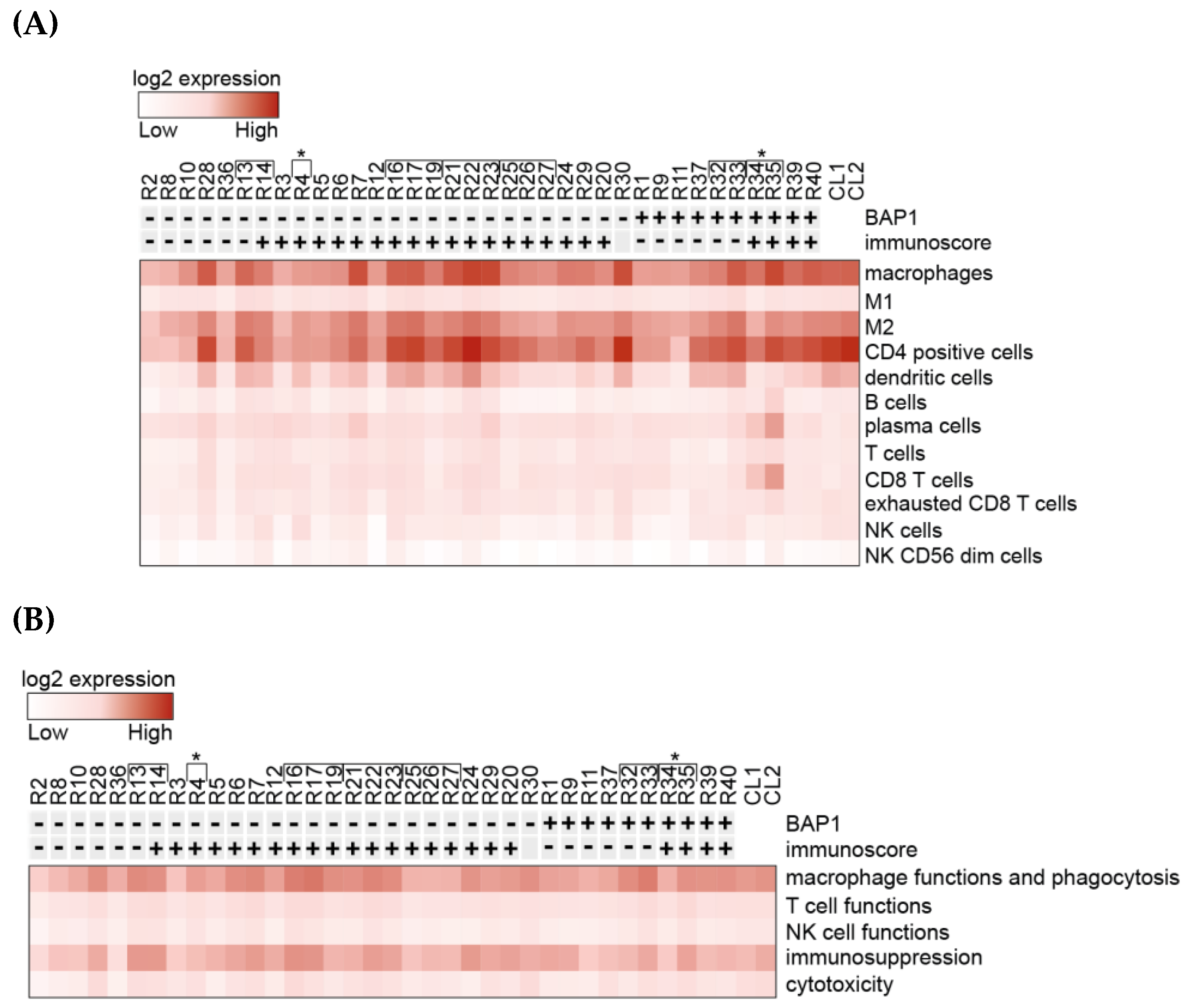 Cancers 12 02832 g001 Cancers 12 02832 g001