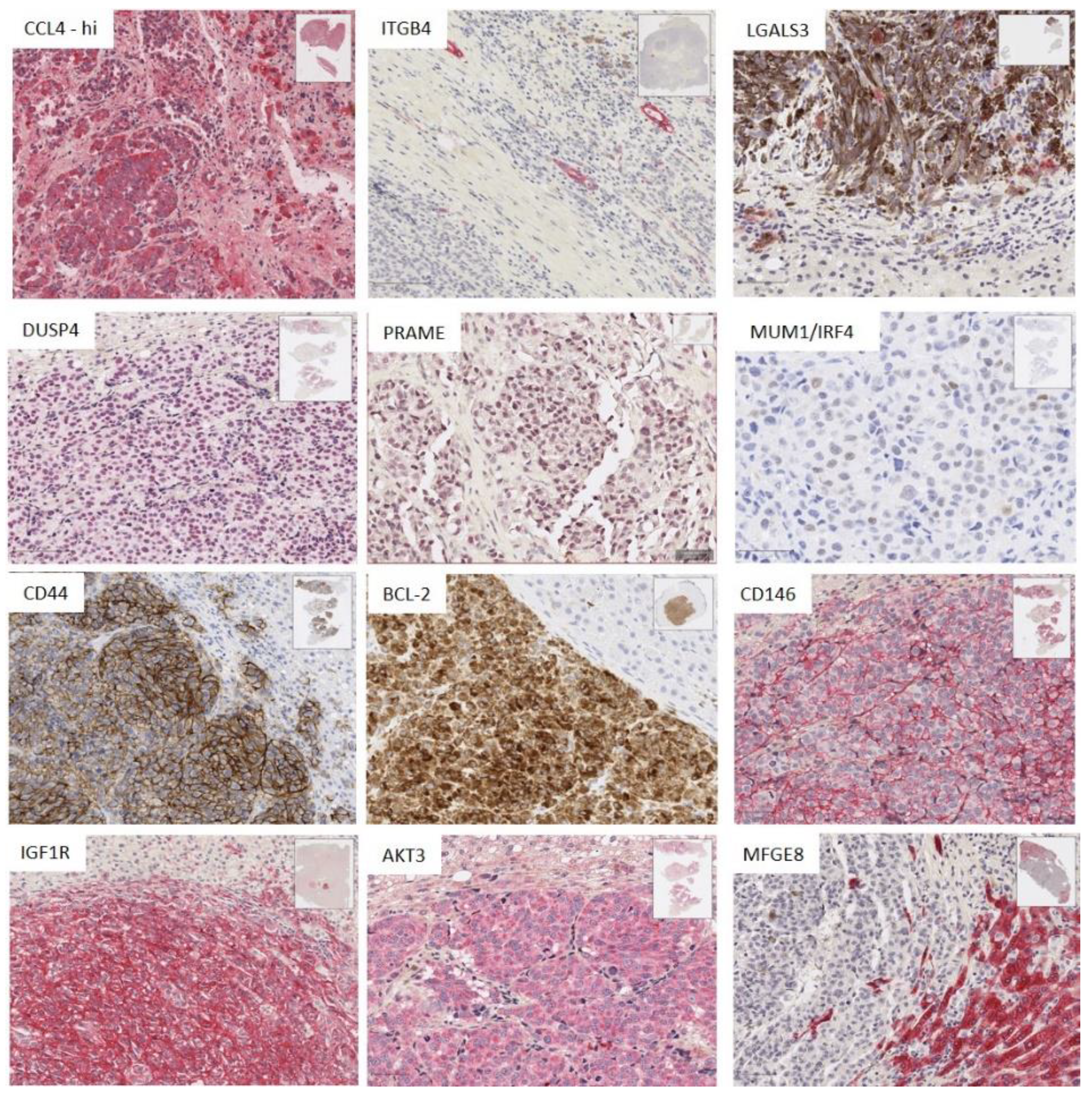 Cancers 12 02832 g005 Cancers 12 02832 g005