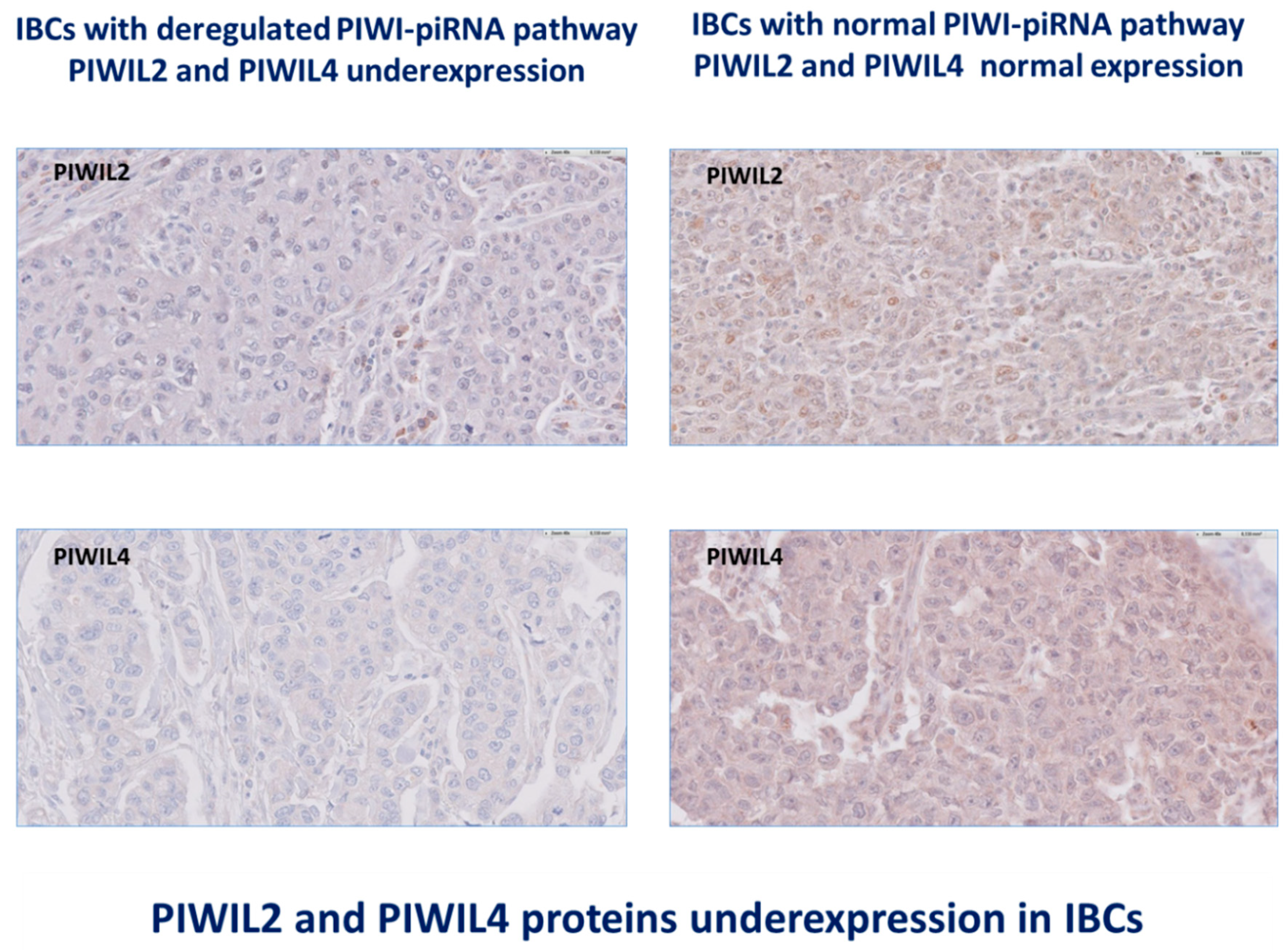 Cancers 12 02833 g001a Cancers 12 02833 g001a