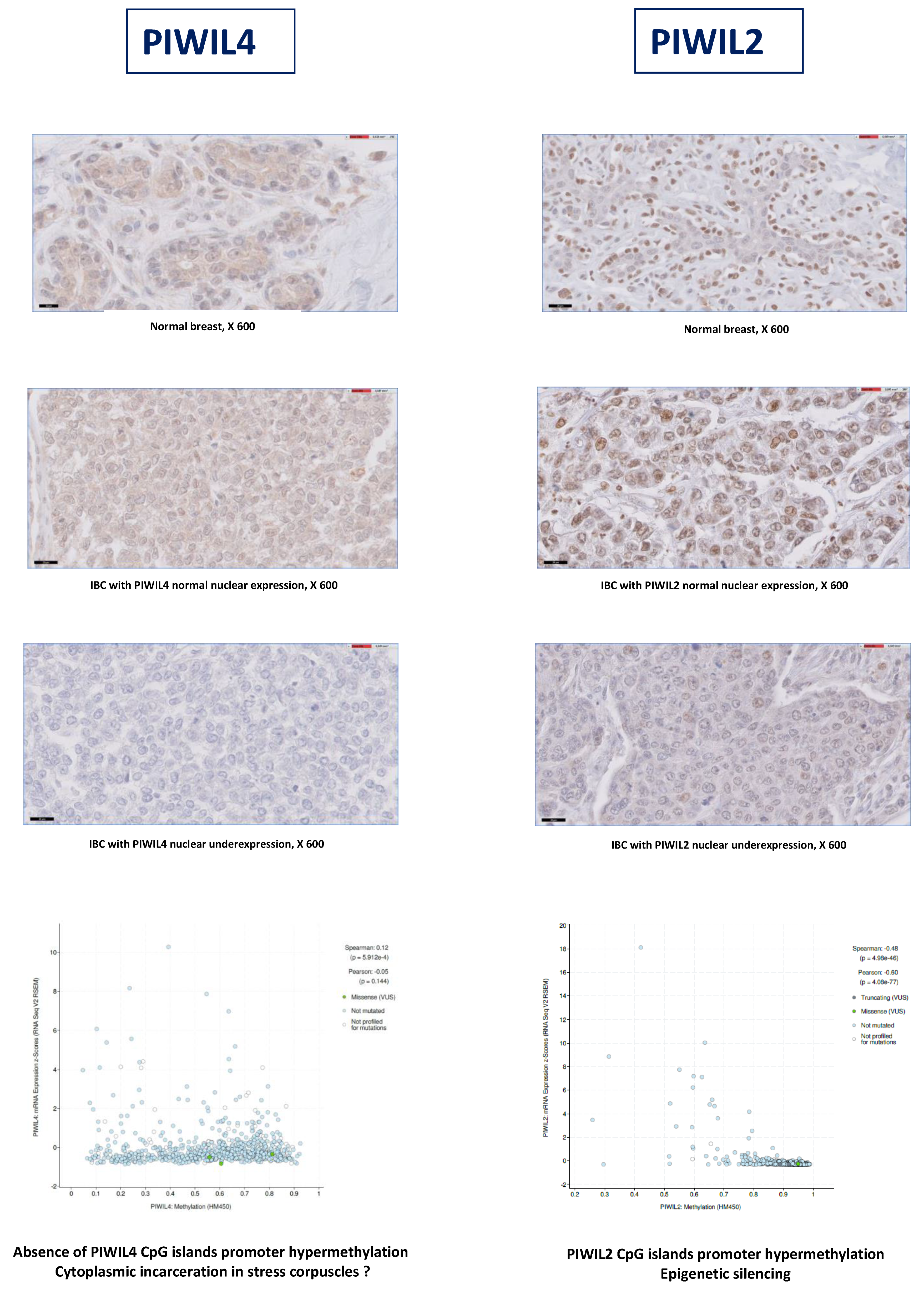 Cancers 12 02833 g003 Cancers 12 02833 g003