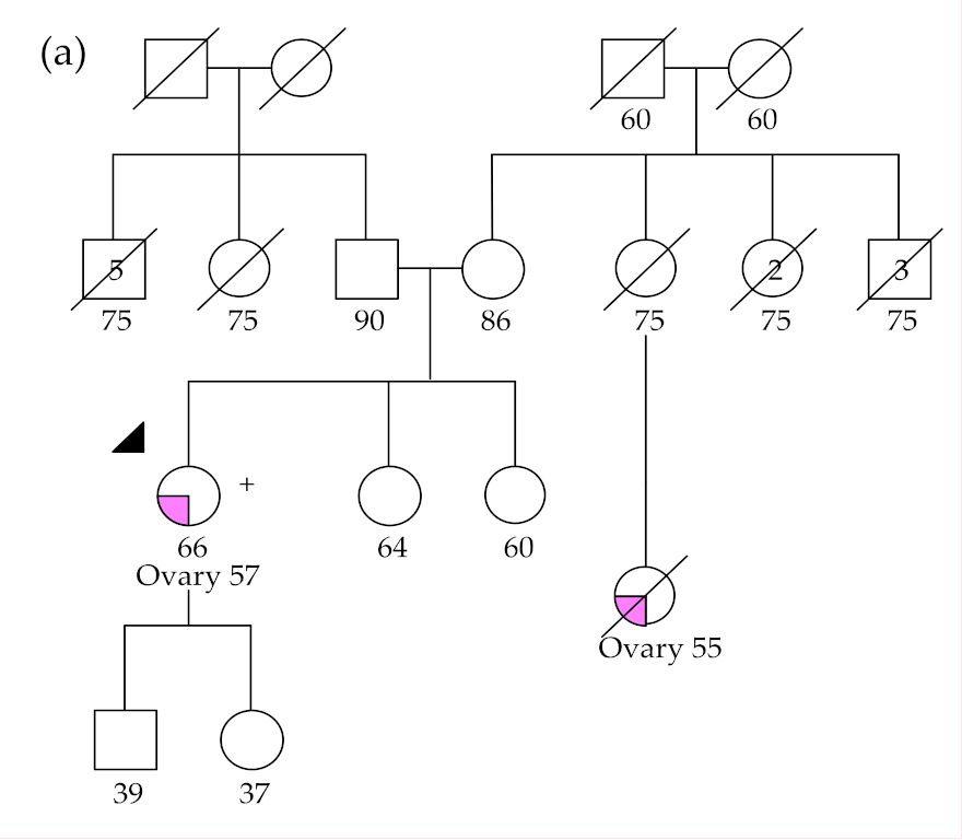 Cancers 12 02834 g002a Cancers 12 02834 g002a