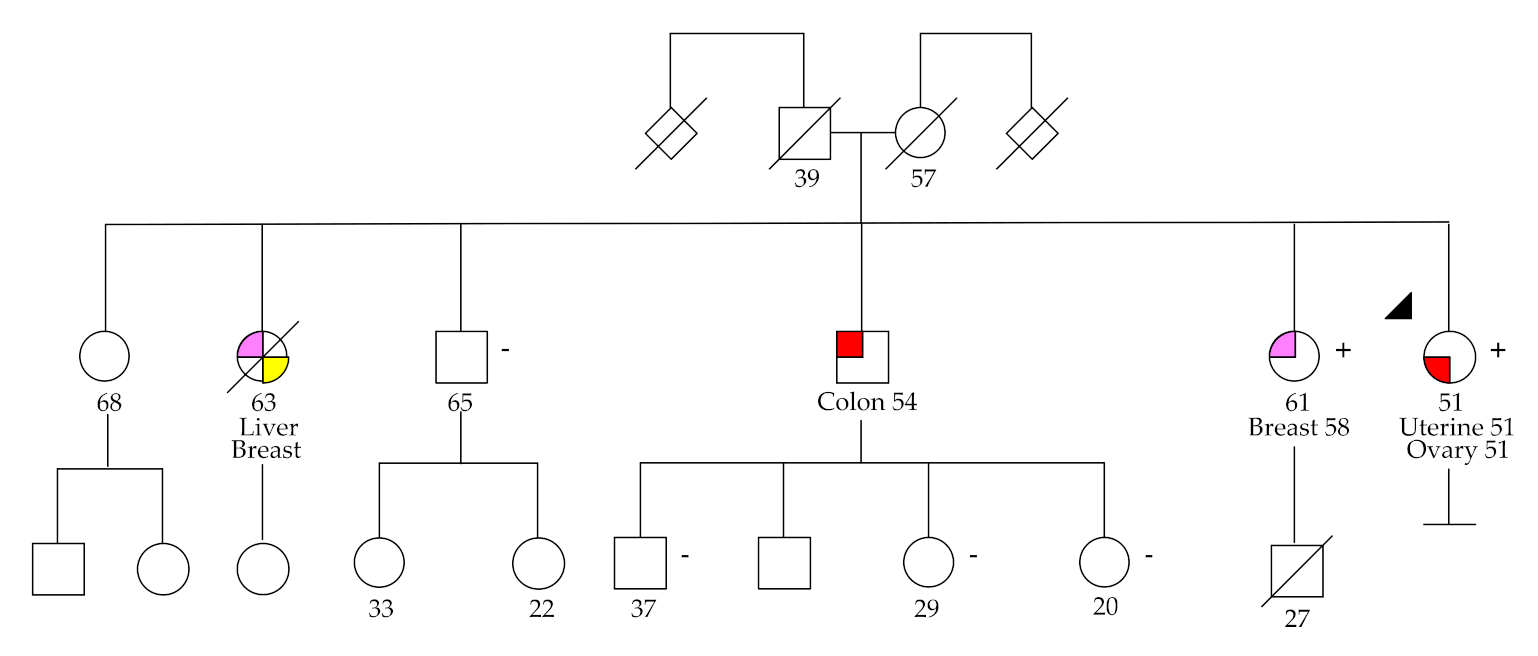 Cancers 12 02834 g004 Cancers 12 02834 g004