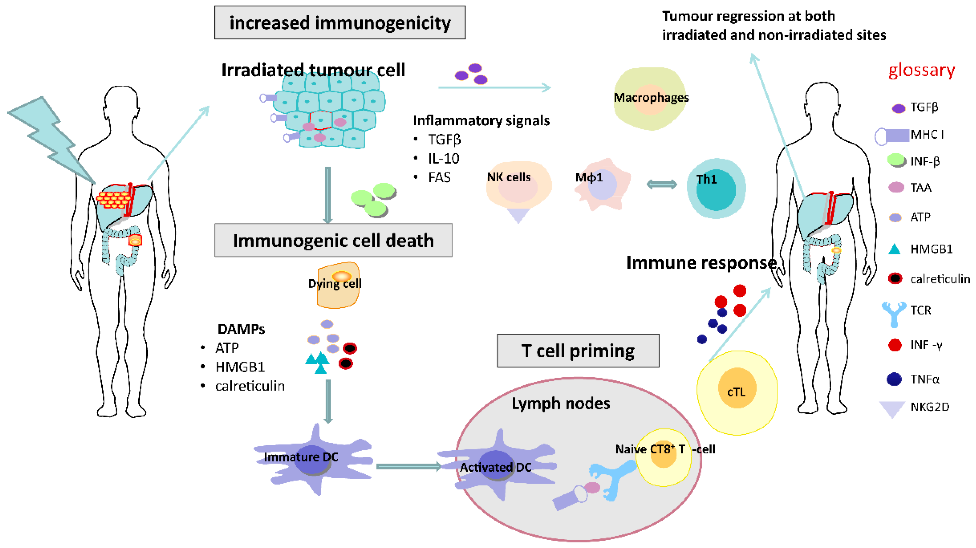 Cancers 12 02835 g001 Cancers 12 02835 g001