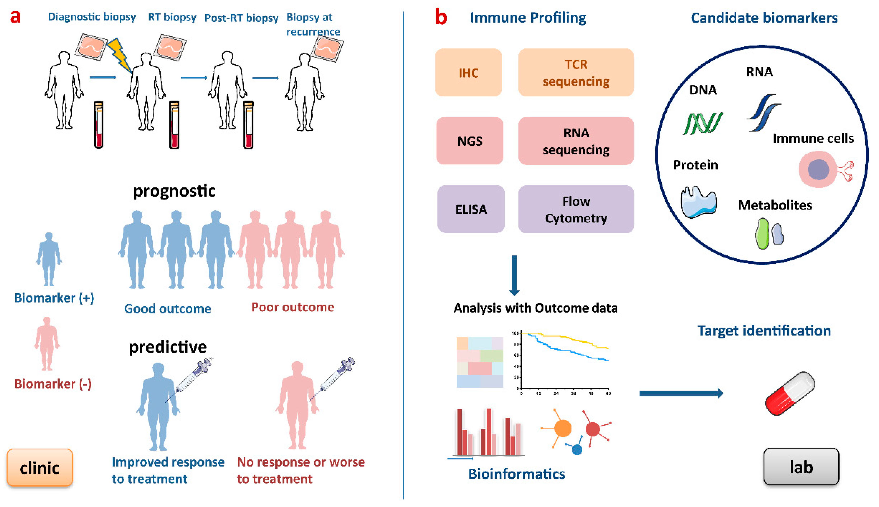 Cancers 12 02835 g003 Cancers 12 02835 g003