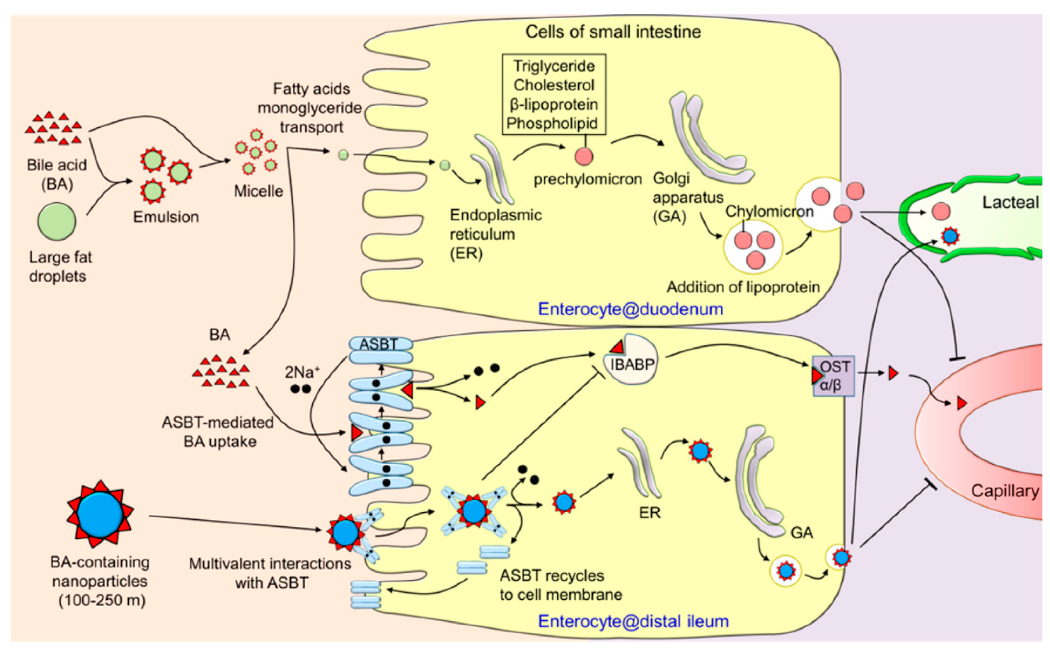 Cancers 12 02837 g003 Cancers 12 02837 g003