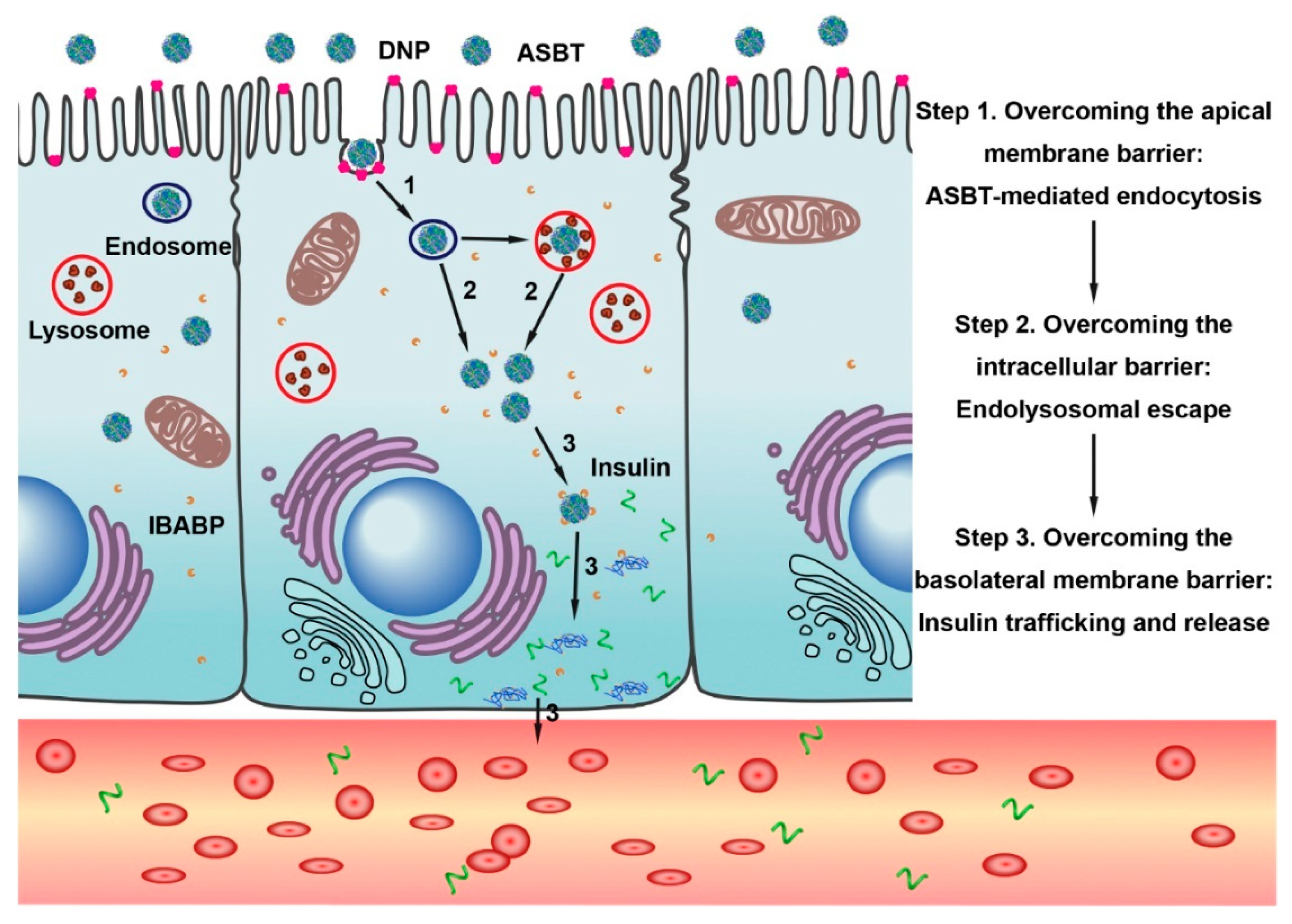 Cancers 12 02837 g004 Cancers 12 02837 g004