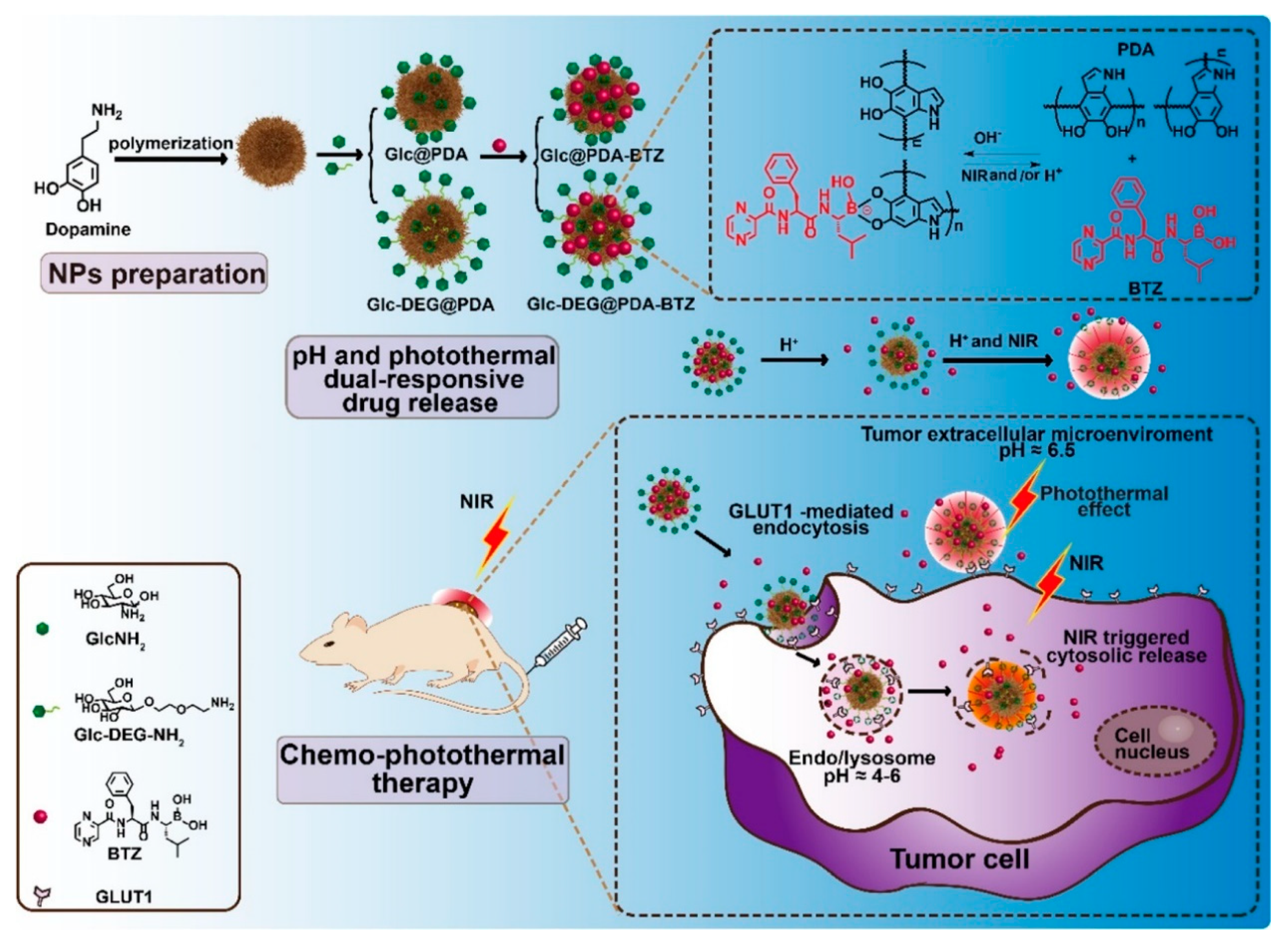 Cancers 12 02837 g006 Cancers 12 02837 g006