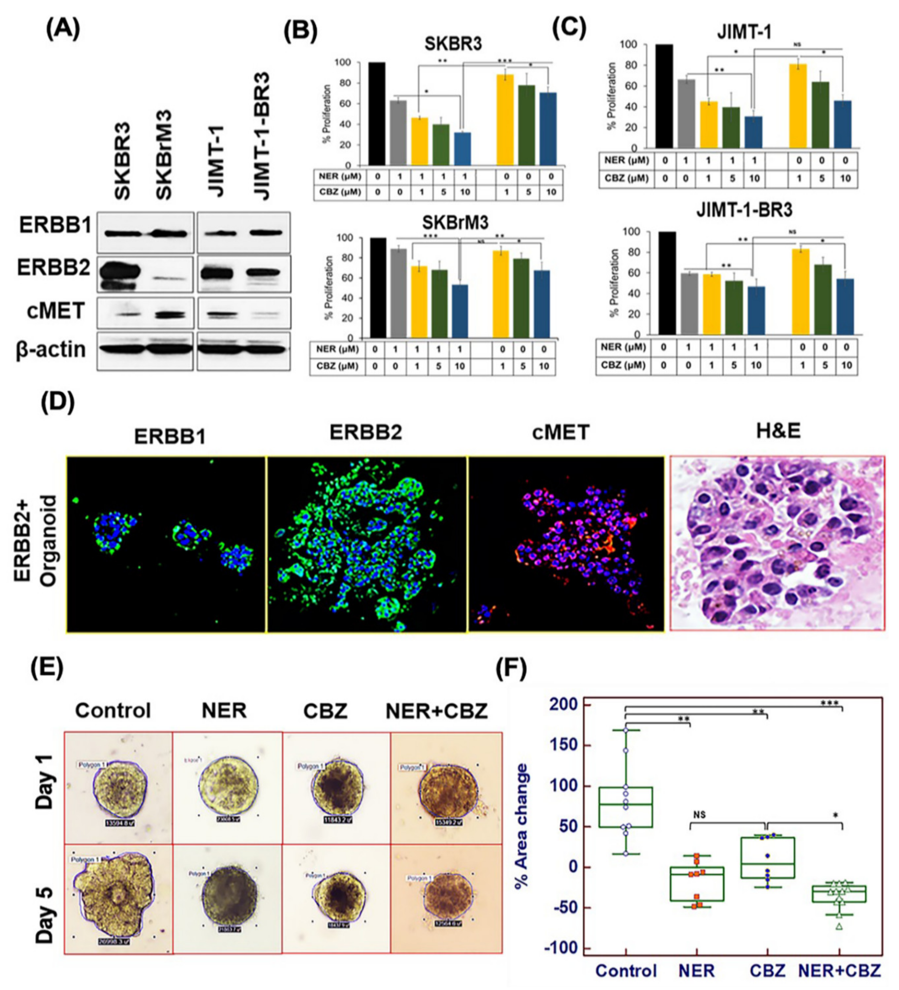 Cancers 12 02838 g001