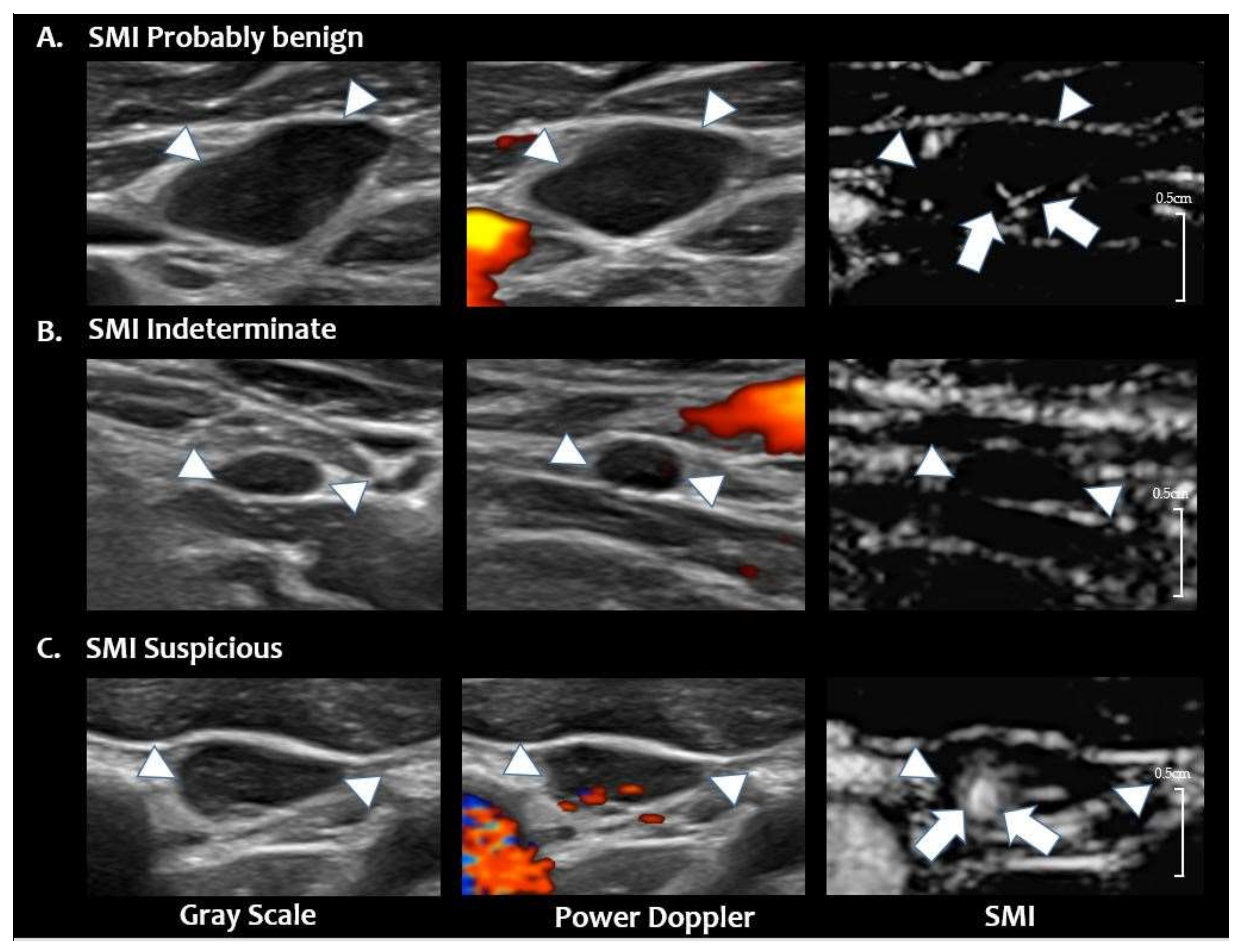 Cancers 12 02839 g004