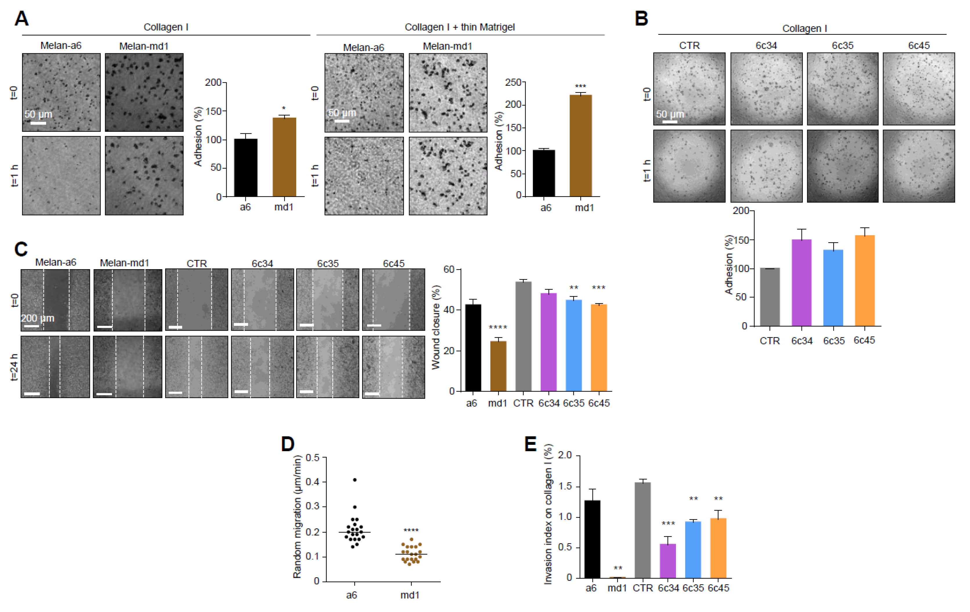 Cancers 12 02840 g002 Cancers 12 02840 g002