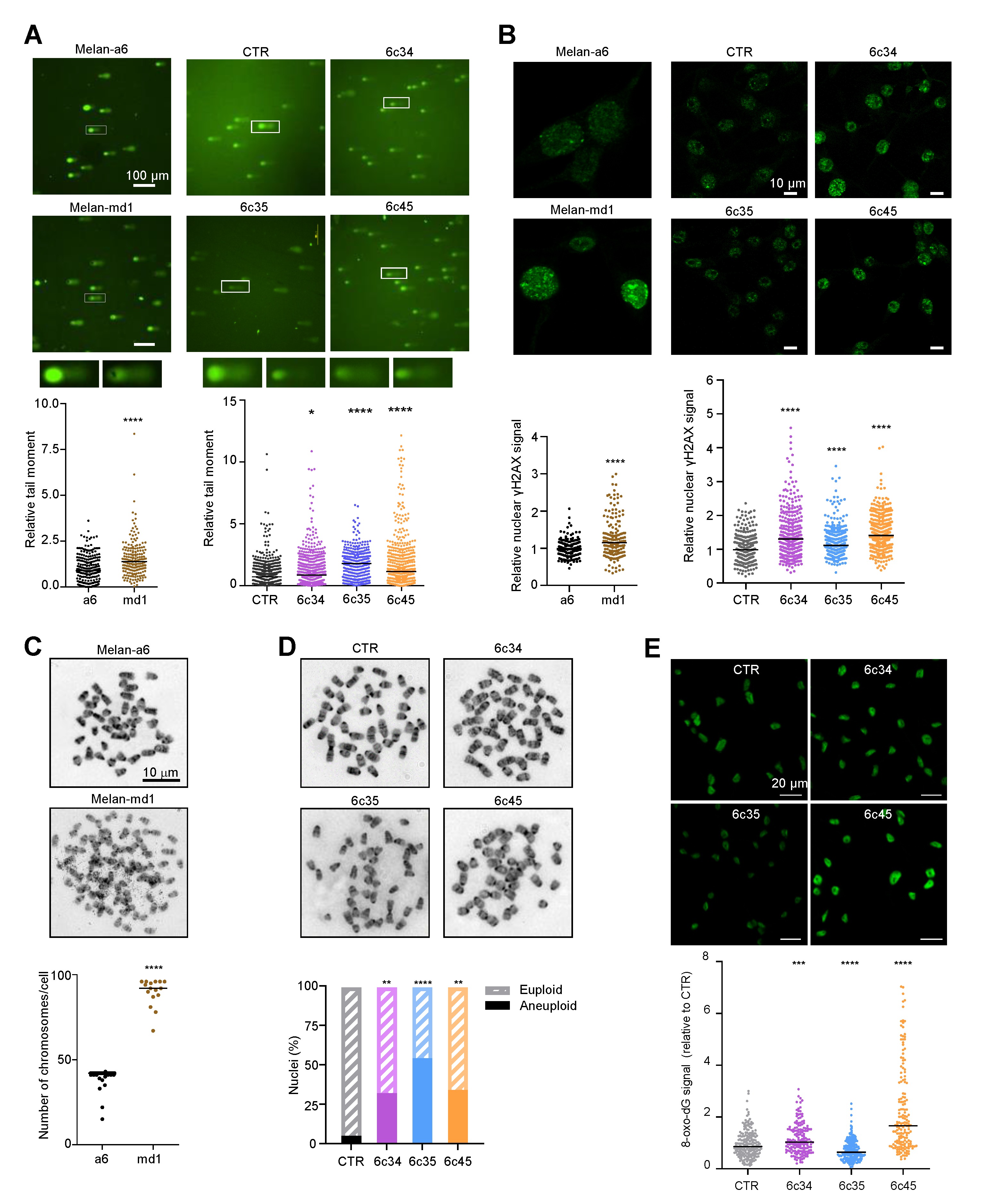Cancers 12 02840 g005 Cancers 12 02840 g005