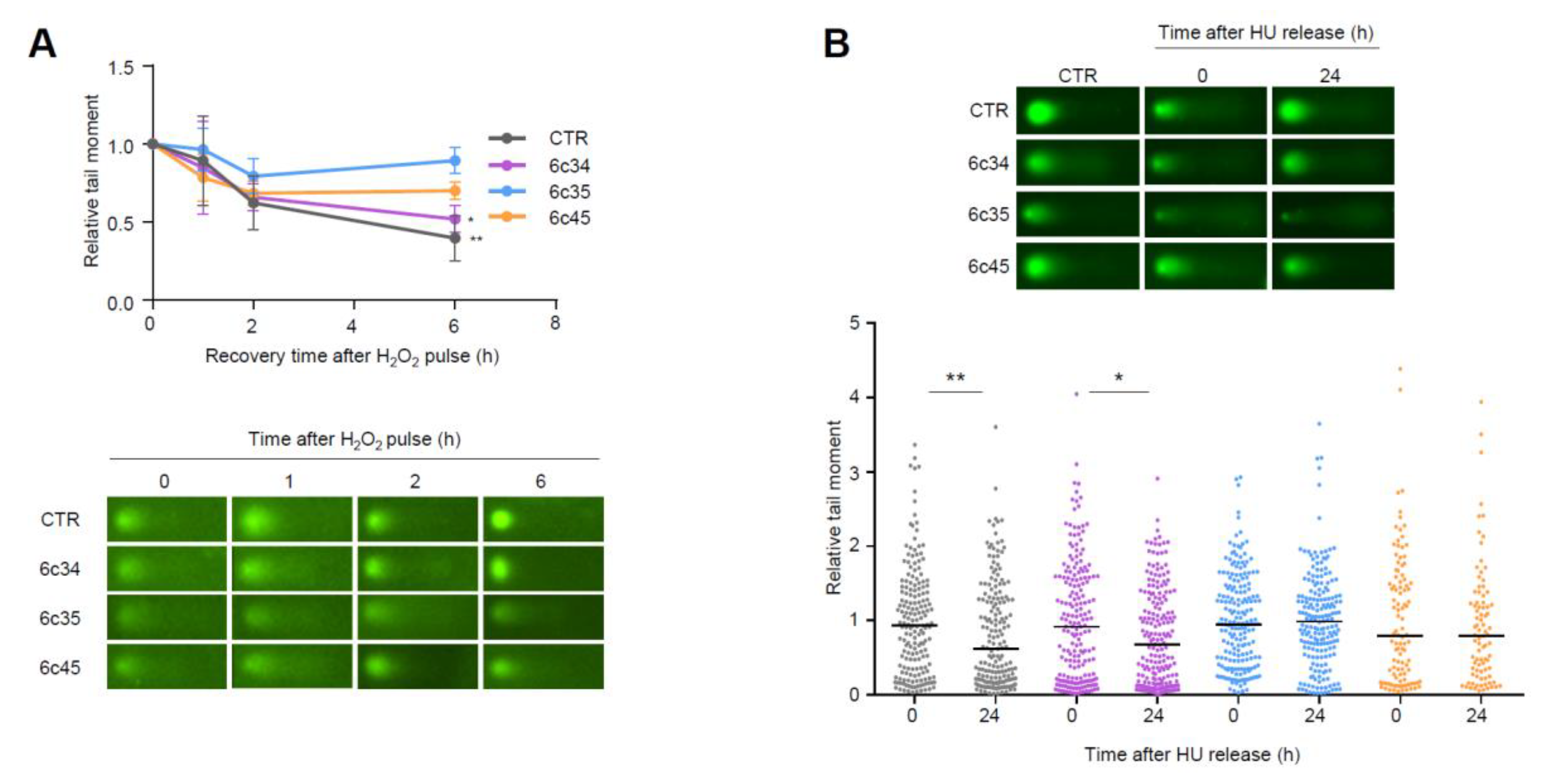 Cancers 12 02840 g006 Cancers 12 02840 g006