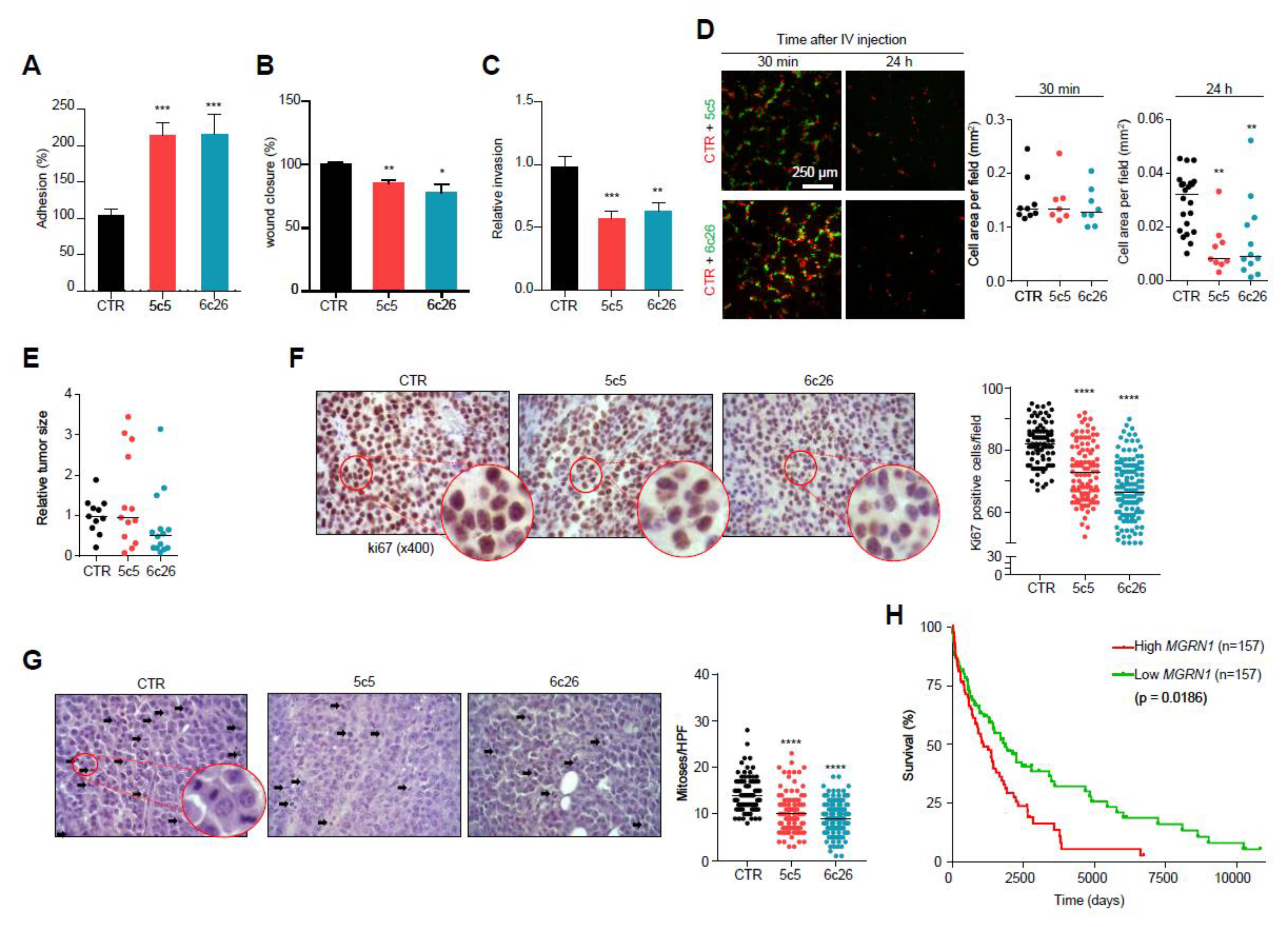 Cancers 12 02840 g007 Cancers 12 02840 g007