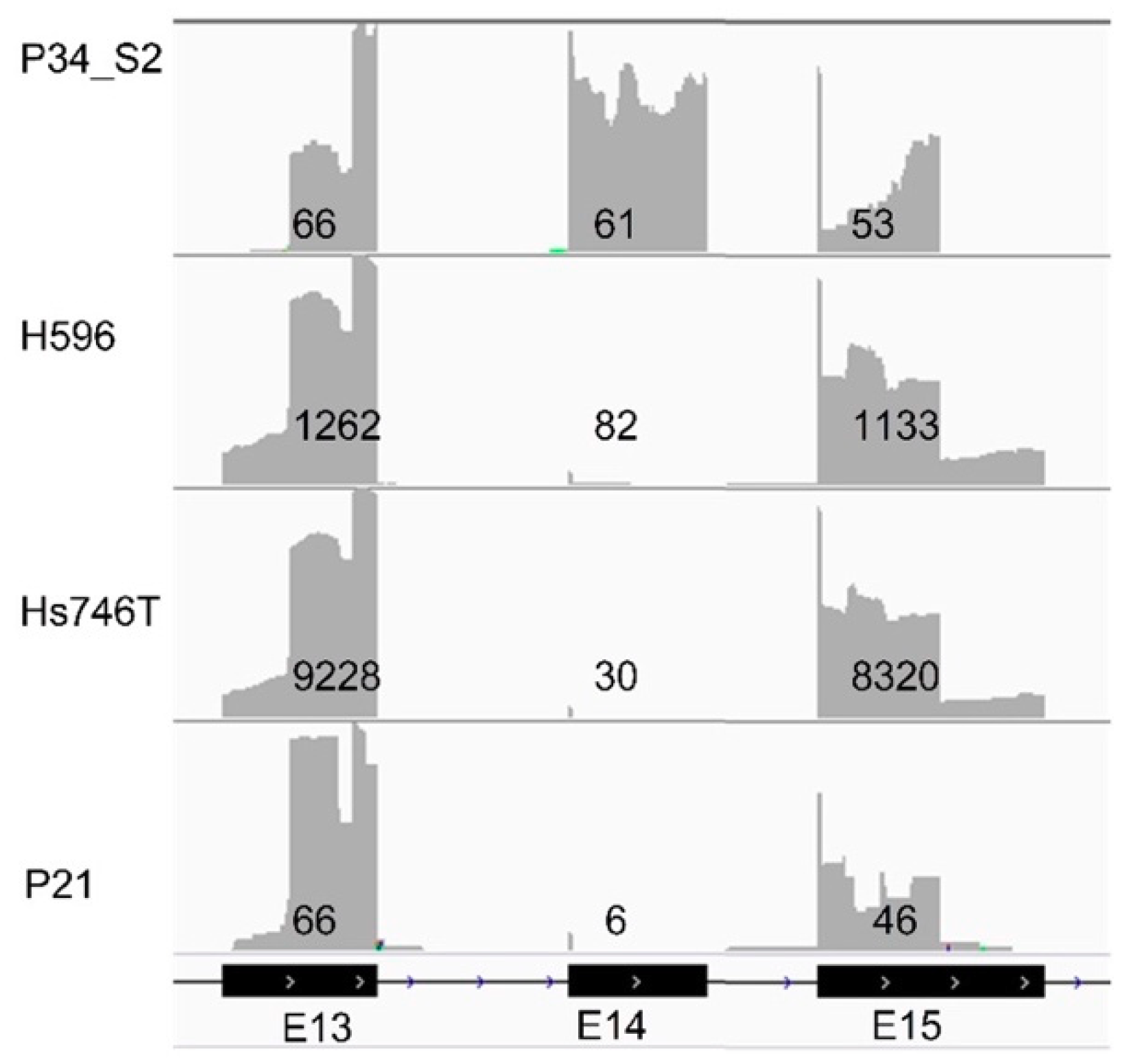 Cancers 12 02843 g002