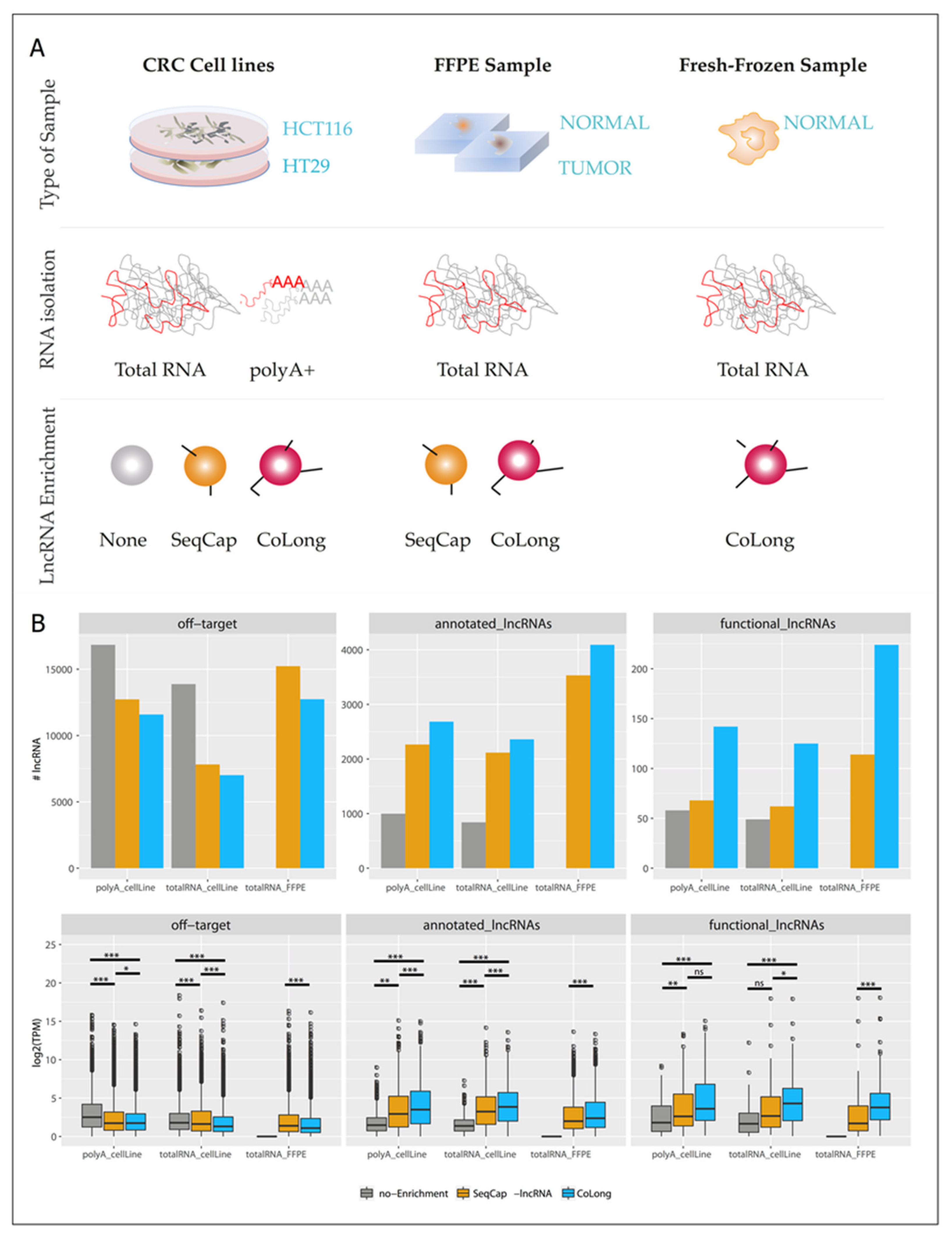 Cancers 12 02844 g001