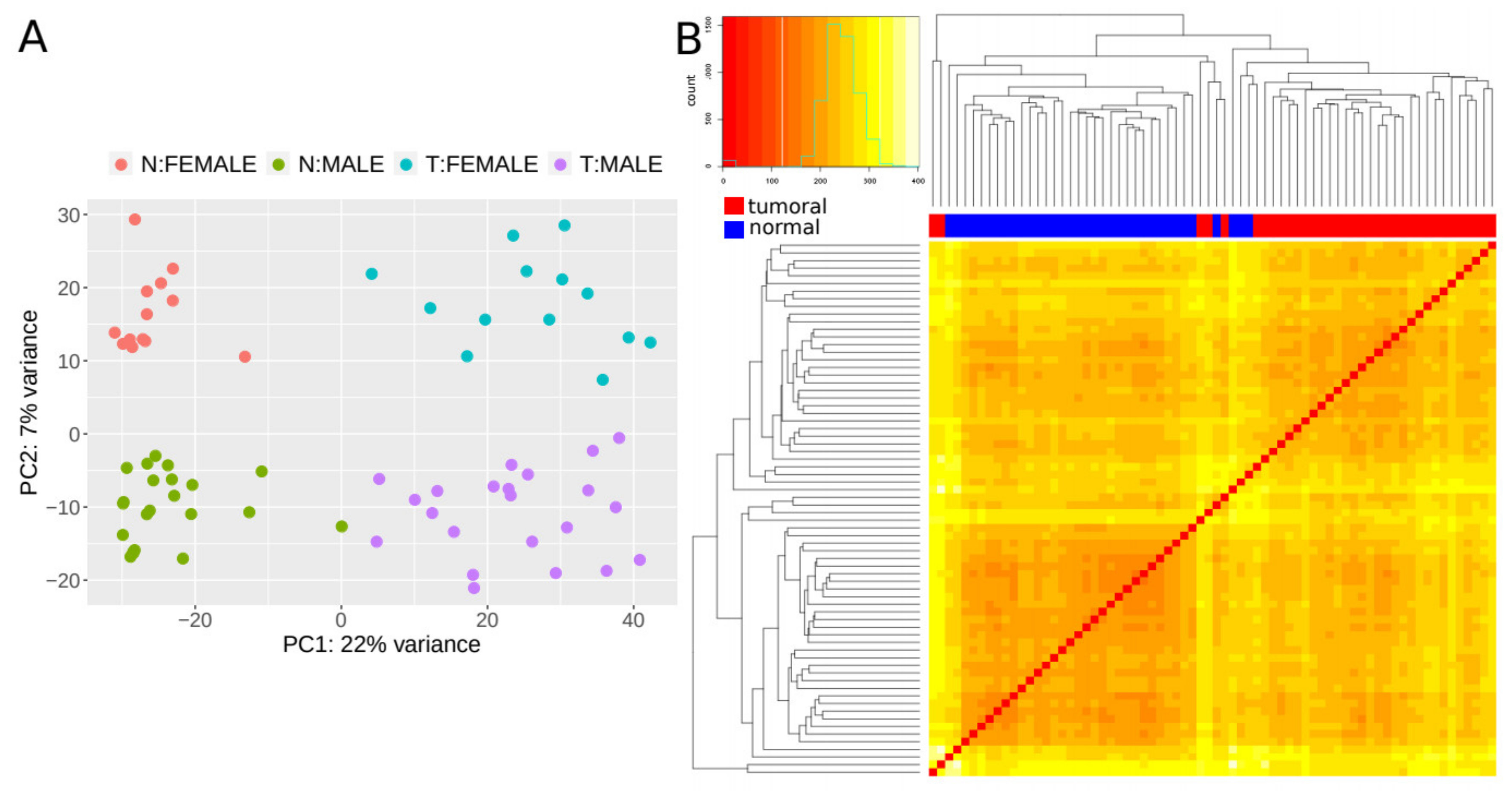 Cancers 12 02844 g003