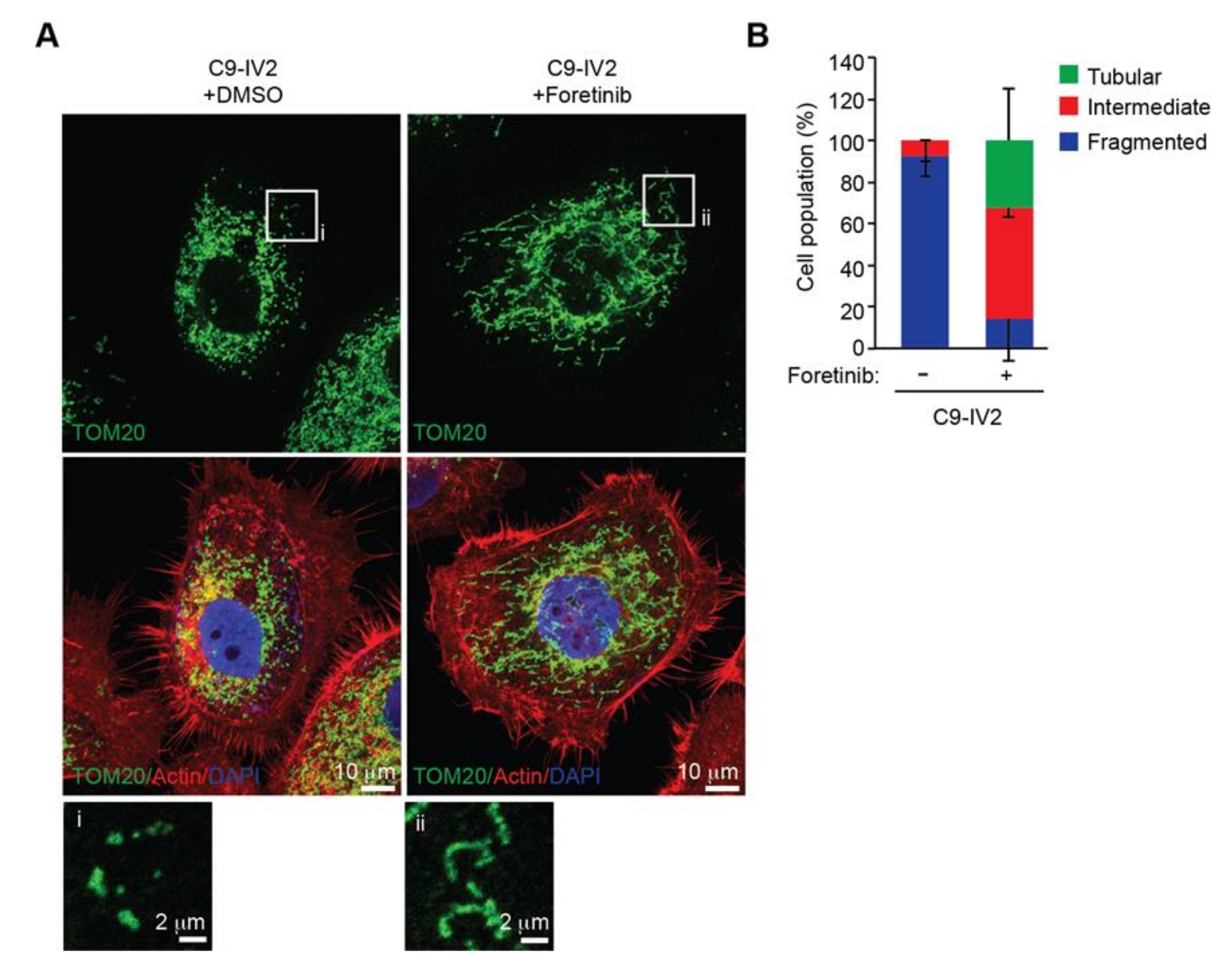 Cancers 12 02845 g004 Cancers 12 02845 g004