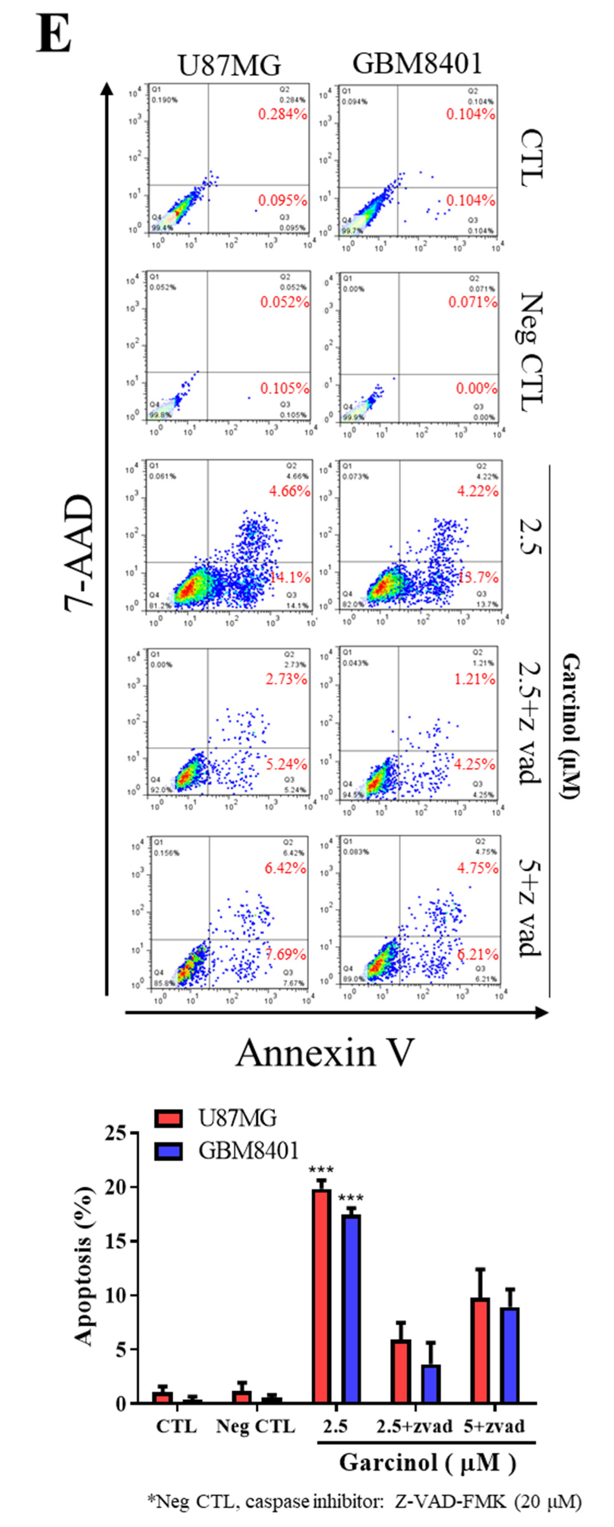 Cancers 12 02846 g001 Cancers 12 02846 g001