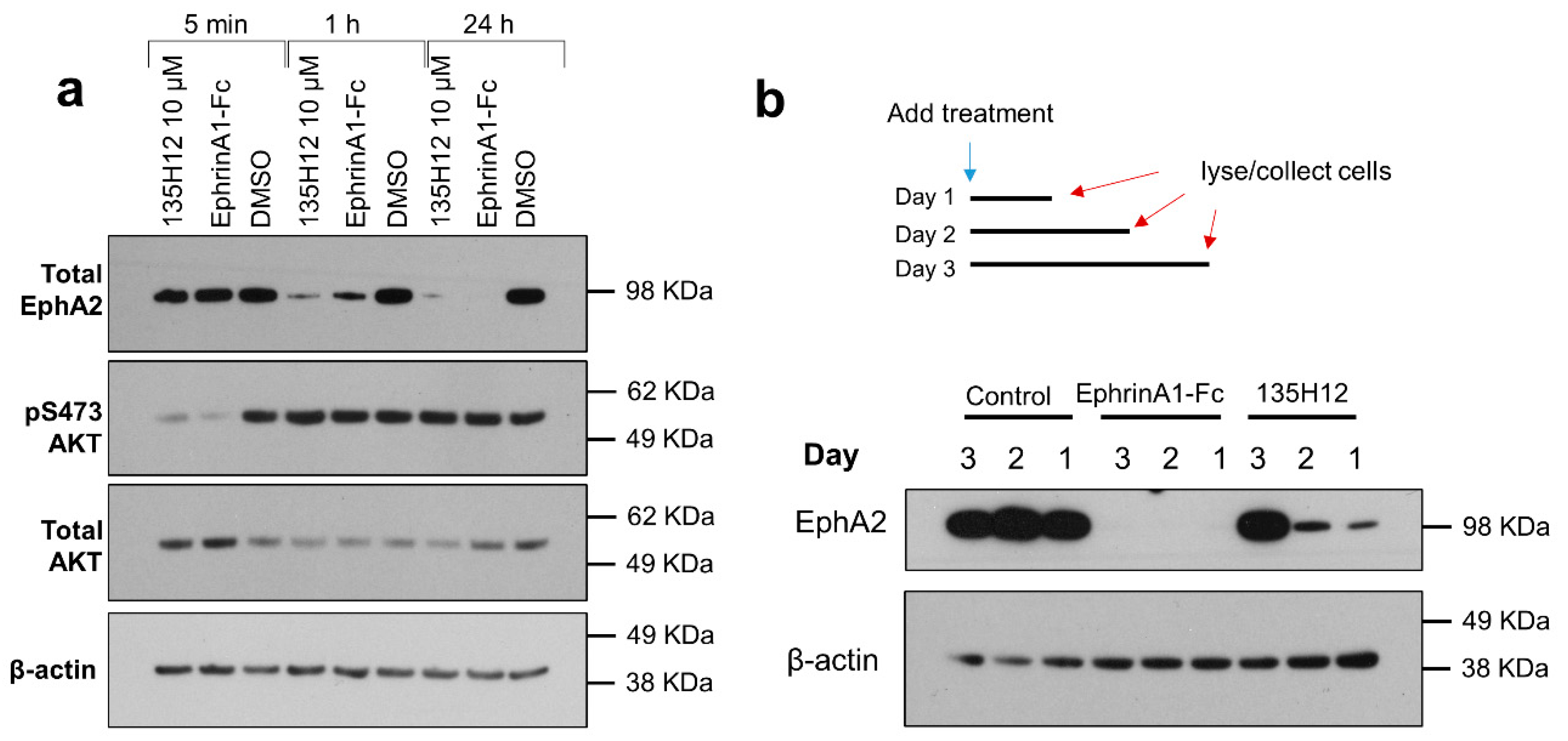 Cancers 12 02854 g002 Cancers 12 02854 g002