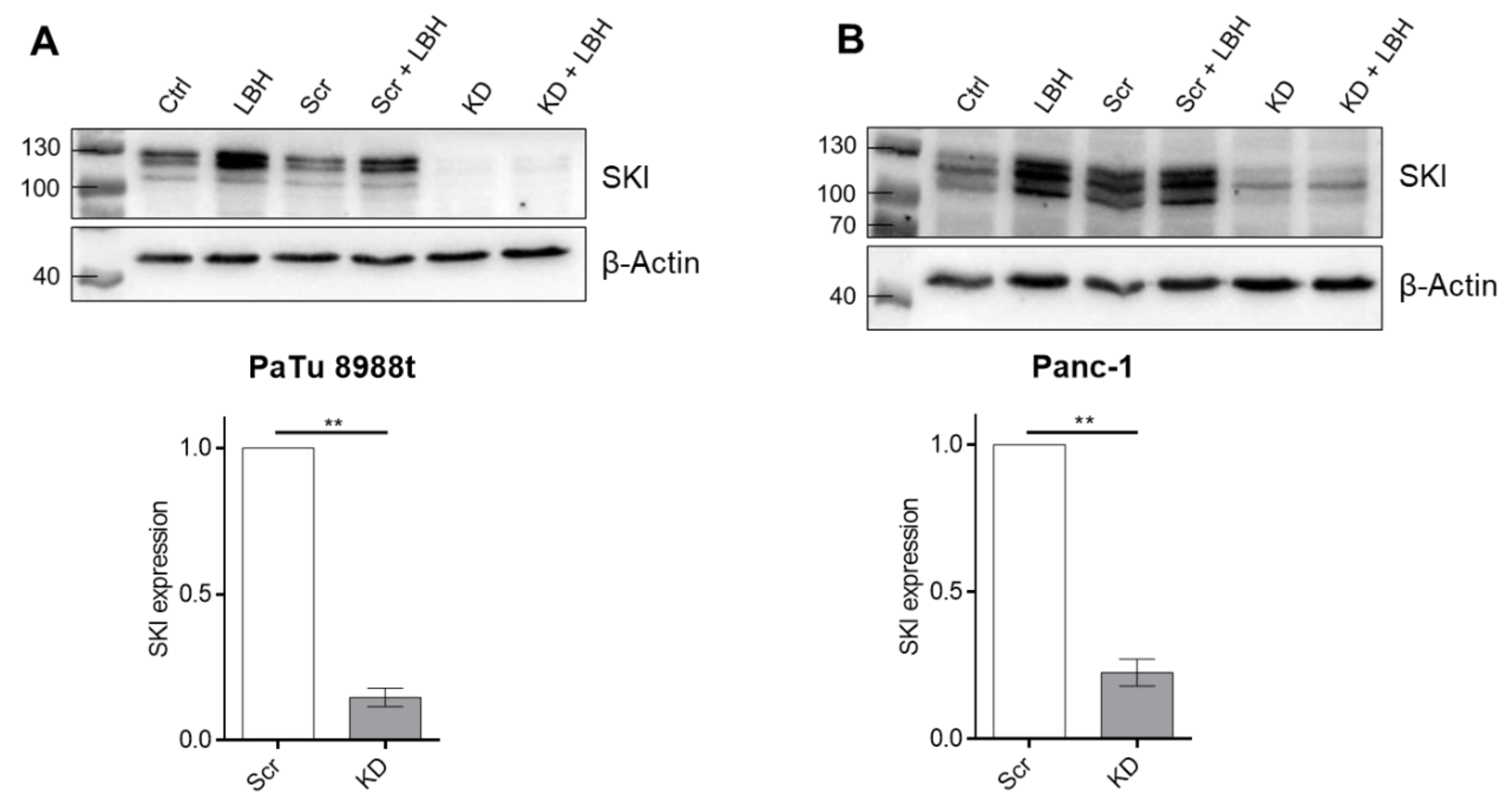 Cancers 12 02857 g002 Cancers 12 02857 g002