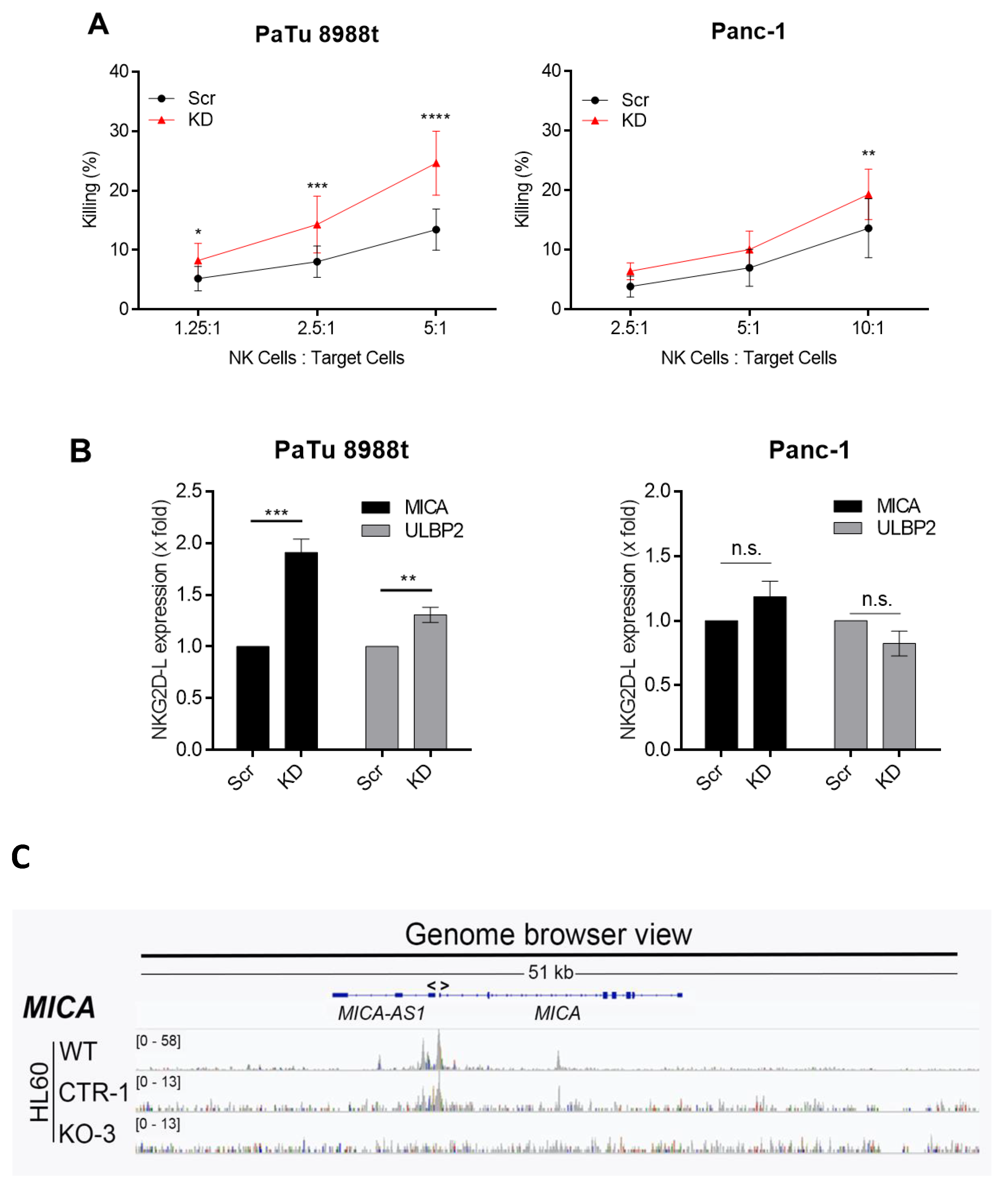 Cancers 12 02857 g003 Cancers 12 02857 g003