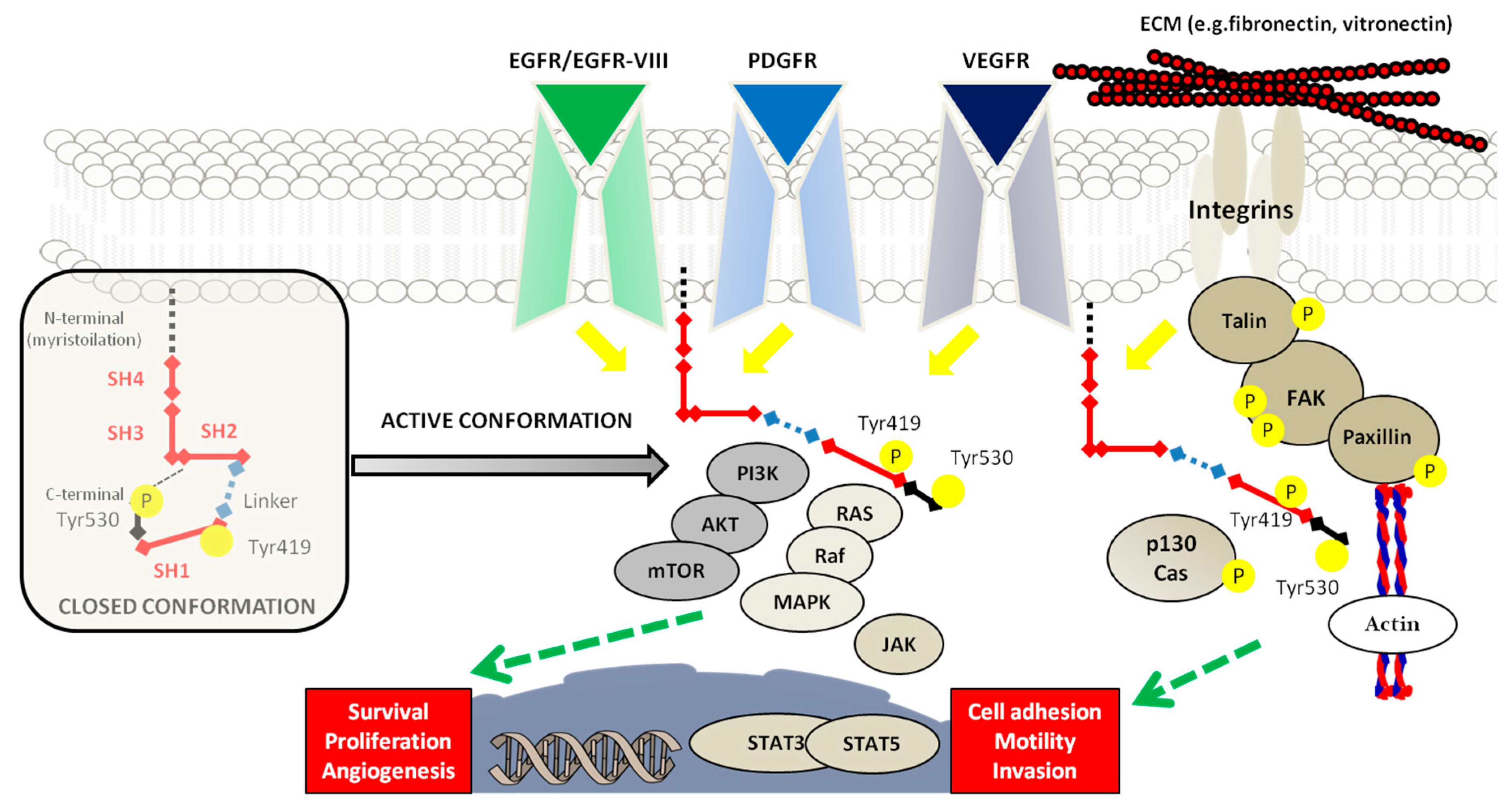 Cancers 12 02860 g002